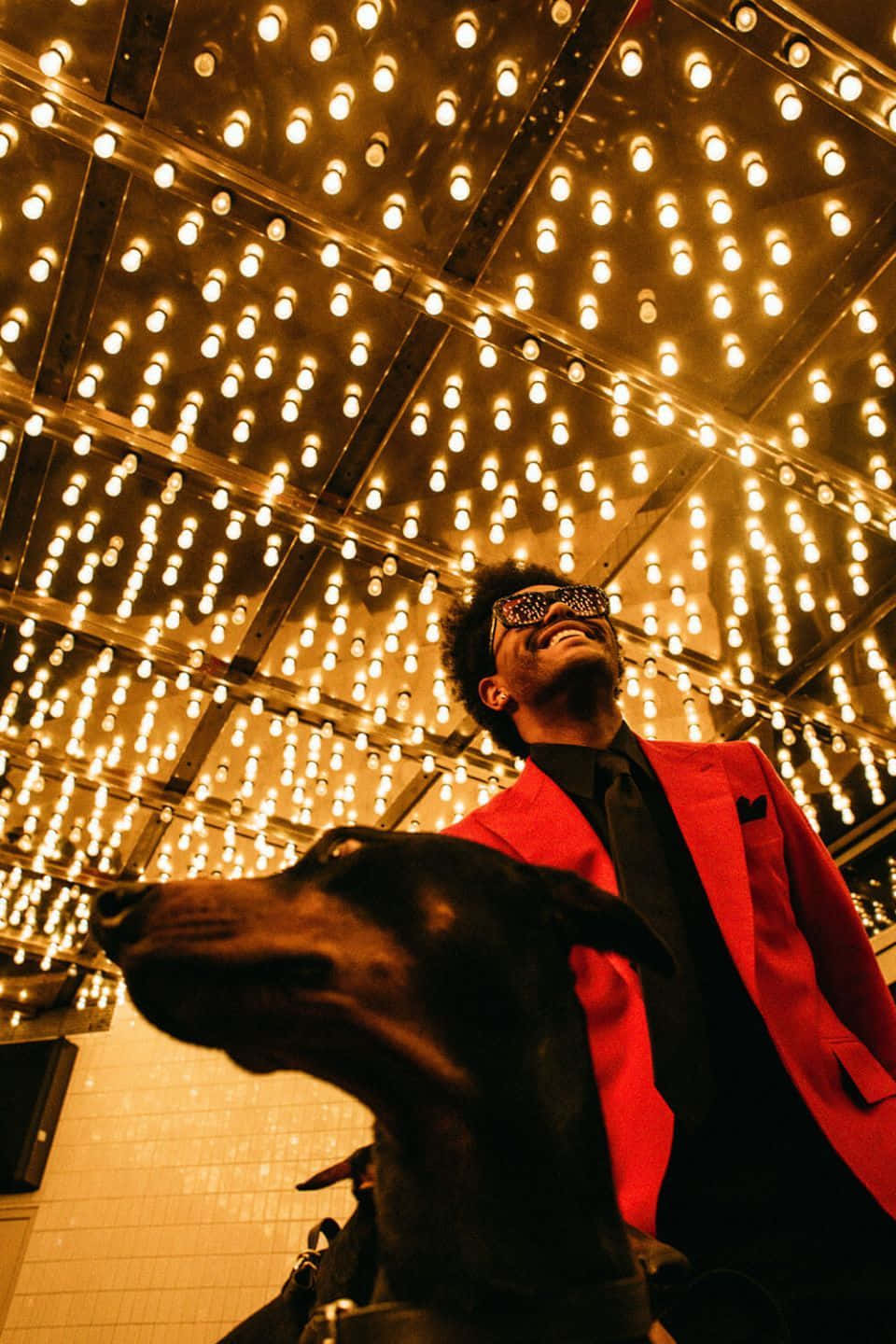 The Weeknd After Hours 桌布 壁紙 — 一名身穿紅色西裝、戴著太陽眼鏡的男子，在溫暖金色燈光構成的耀眼天篷下，帶著一隻黑狗向上微笑。