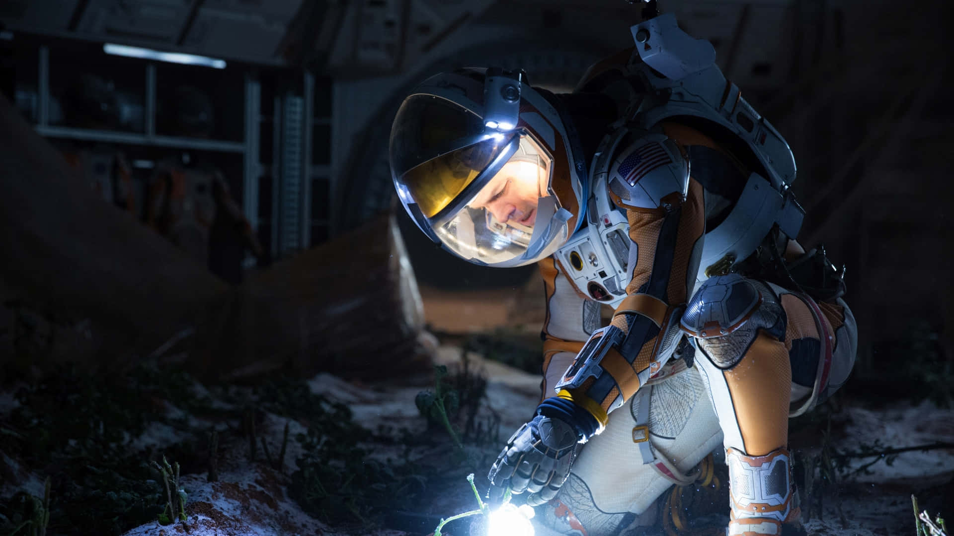 The Martian 桌布 壁紙 — 一名身穿細節太空衣的太空人跪在外星土壤上，用手持燈照亮一株發光的植物，身處昏暗的未來棲息地。