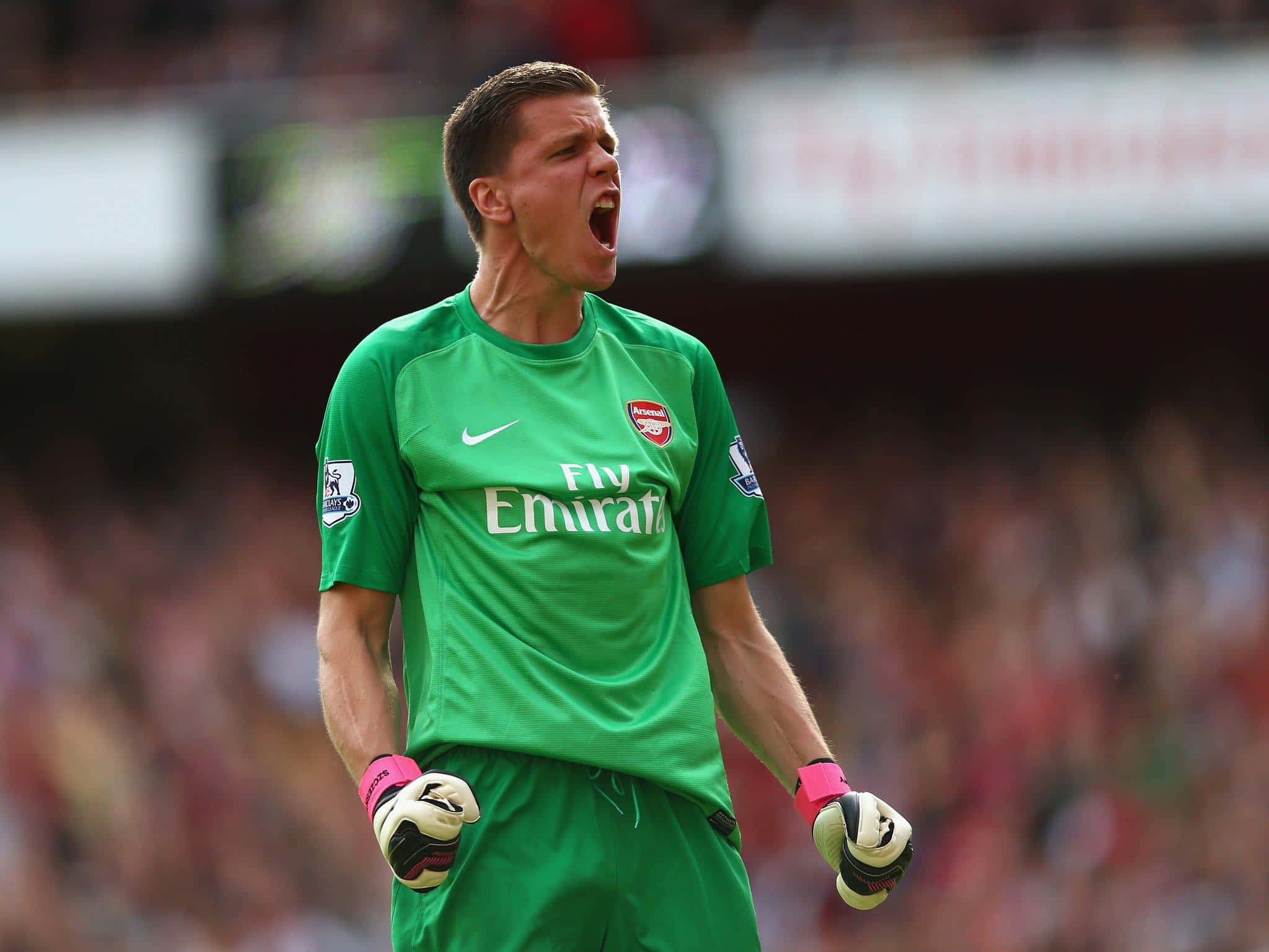 Wojciech Szczesny 桌布 壁紙 — 一名身穿綠色阿仙奴球衣的足球守門員在比賽中激情呼喊，背景是模糊的球場人群。