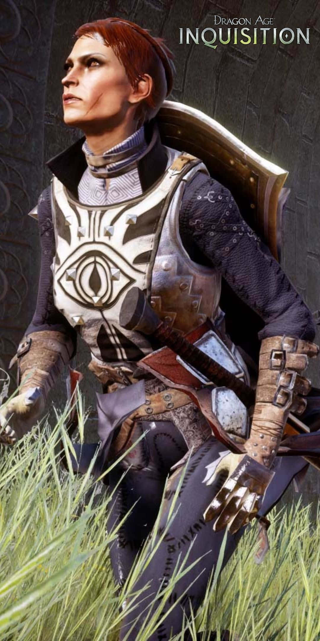 Pixel 3 Dragon Age Inquisition 桌布 壁紙 — 一名身穿華麗銀色盔甲、帶有眼睛標誌的戰士，在高高的草叢中警覺地站立，背景是深色石牆。
