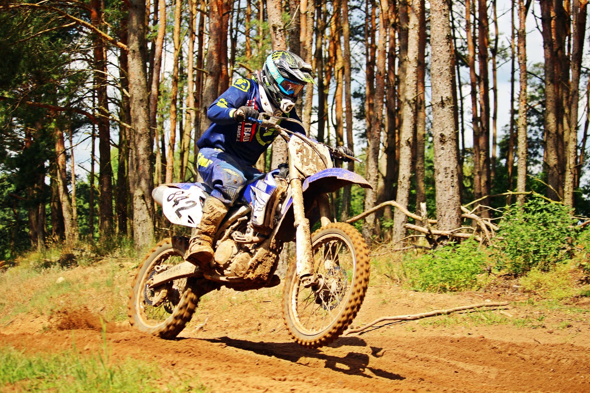 Dirtbike 桌布 壁紙 — 一名身穿藍色裝備的越野電單車手在泥濘的森林小徑上傾斜入彎，周圍是高聳的松樹。