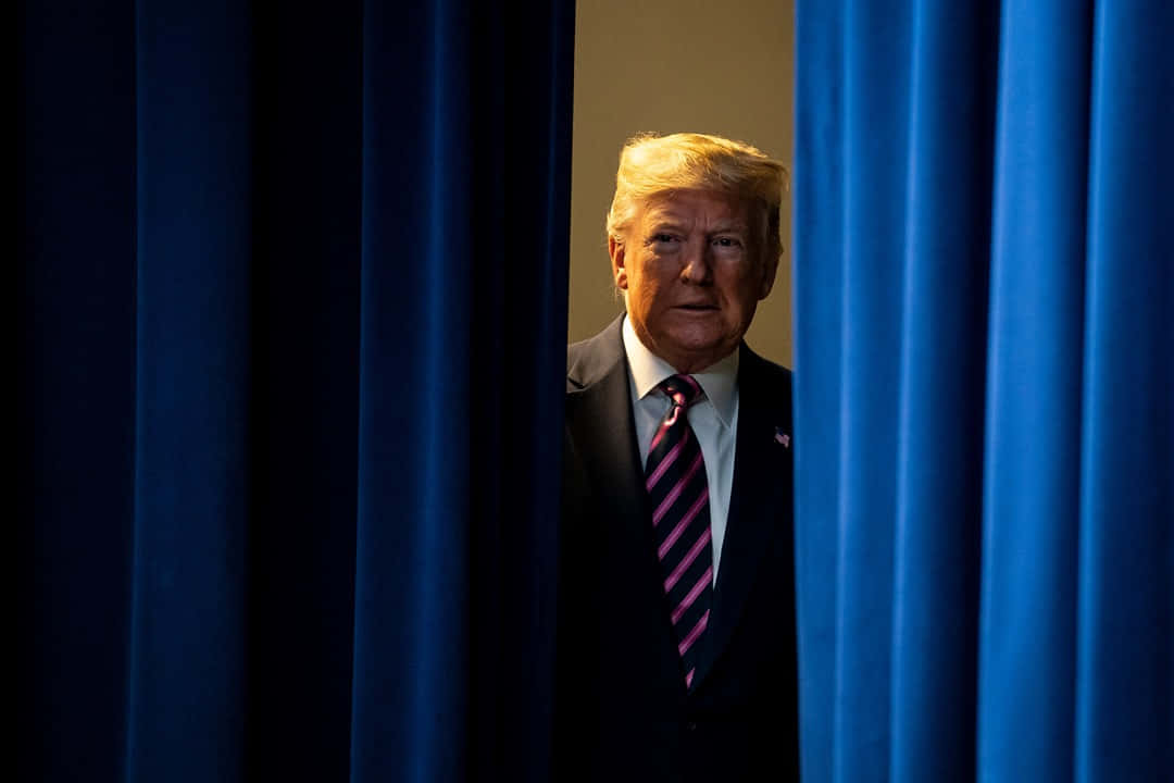 trump 桌布 壁紙 — 一名身穿西裝和條紋領帶的男子在戲劇性燈光下透過分開的藍色窗簾窺視。