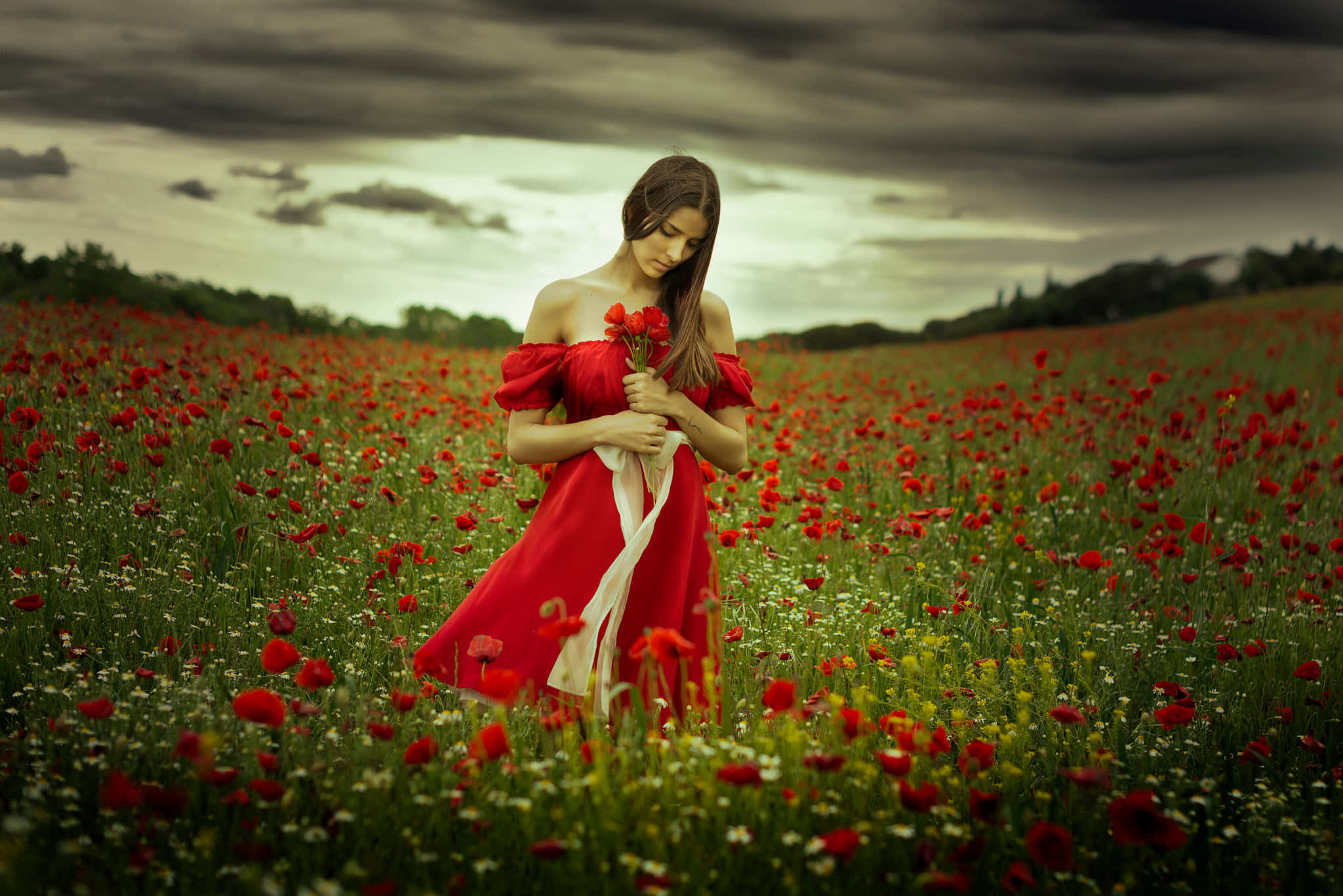 Poppy Field 桌布 壁紙 — 一名身穿飄逸紅裙的女子，站在廣闊的紅色罌粟花田中，頭上是戲劇性的多雲天空。