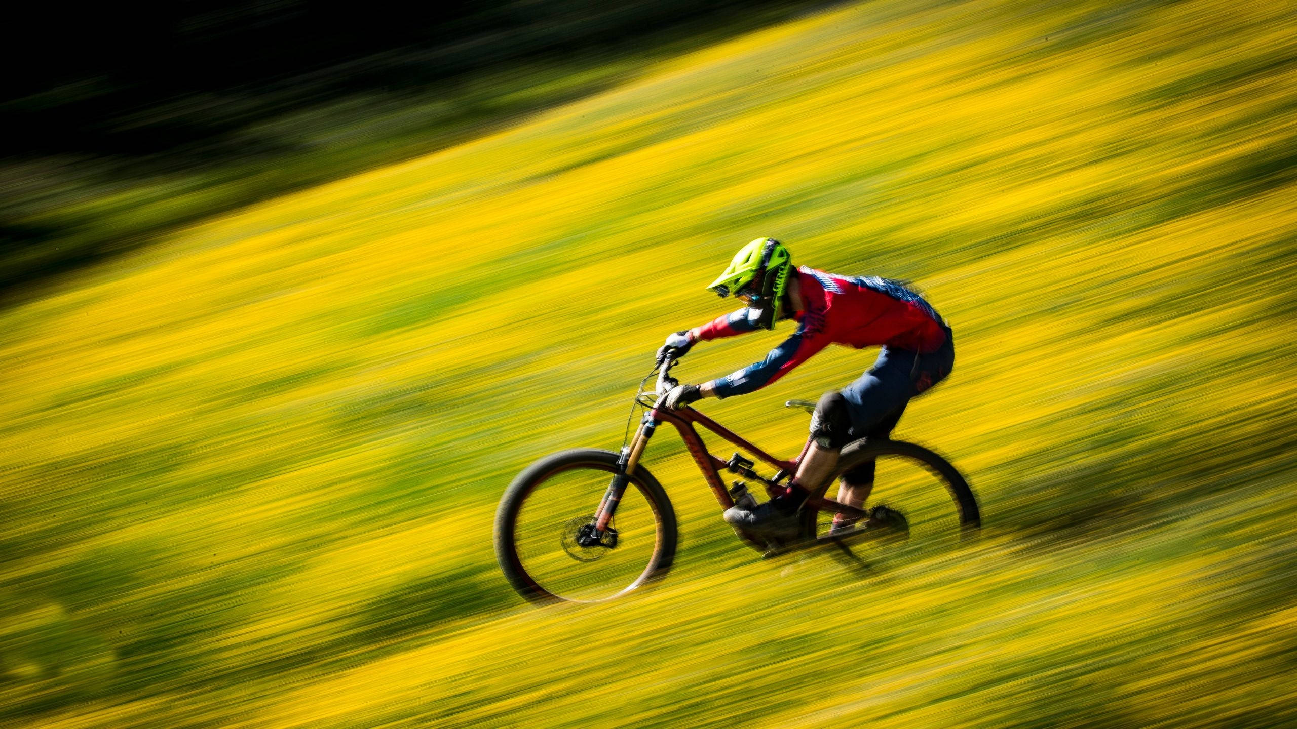 bike riding 桌布 壁紙 — 一名身穿鮮亮裝備的山地單車手，在充滿活力的黃色田野中高速下坡，動態模糊強調了速度。