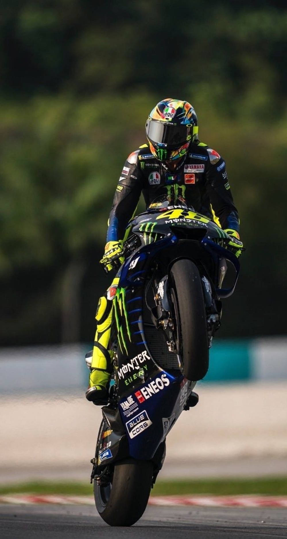 Monster Energy 桌布 壁紙 — 一名身穿鮮艷裝備的電單車賽車手在賽道上傾斜入彎，背景是模糊的綠色植物。
