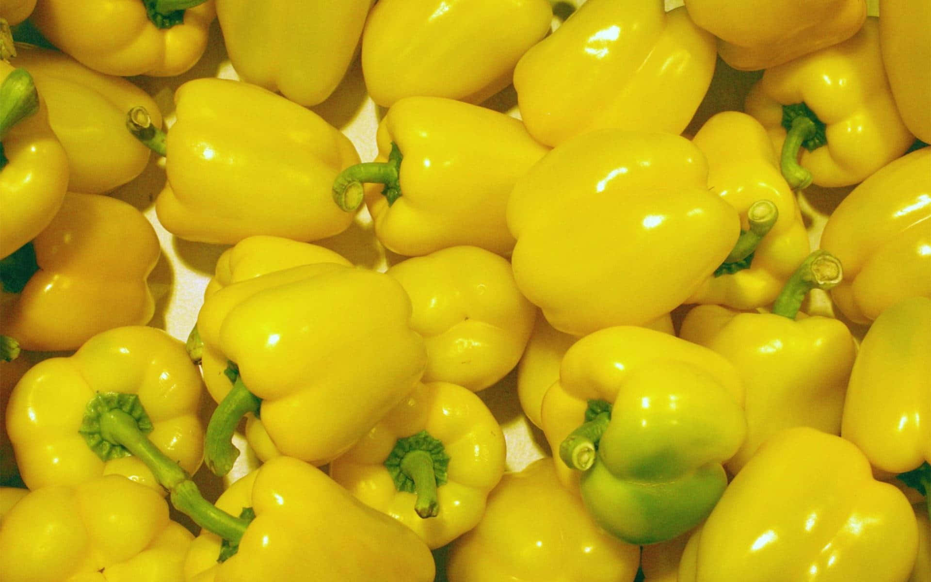 Yellow Bell Pepper 桌布 壁紙 — 一堆帶有綠色莖的亮黃色燈籠椒的微距特寫。