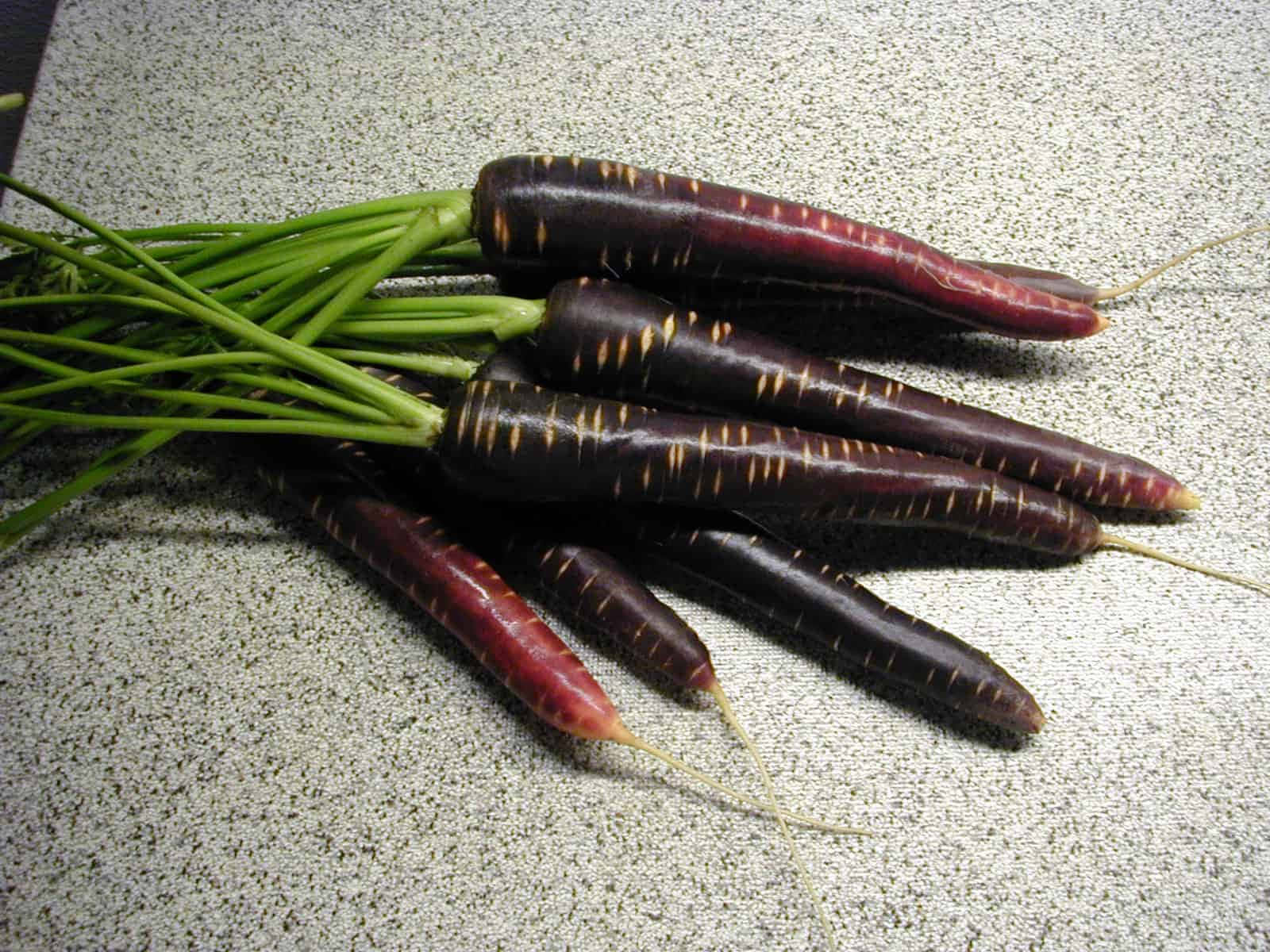 Purple Carrots 桌布 壁紙 — 一堆深紫色嘅紅蘿蔔，帶有綠色嘅頂部，放喺一個有斑點嘅枱面上。