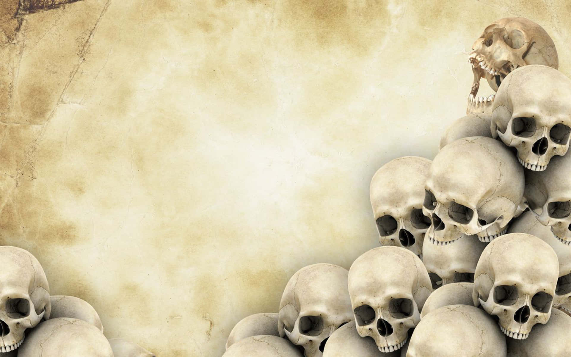 skulls 桌布 壁紙 — 一堆風化的人類頭骨放在帶有紋理米色背景的舊羊皮紙上。