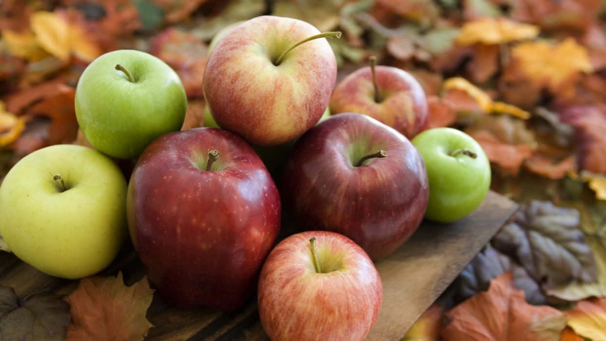 Fall Apples 桌布 壁紙 — 一堆鮮豔的紅、綠、黃蘋果放在一塊被秋葉環繞的木板上。