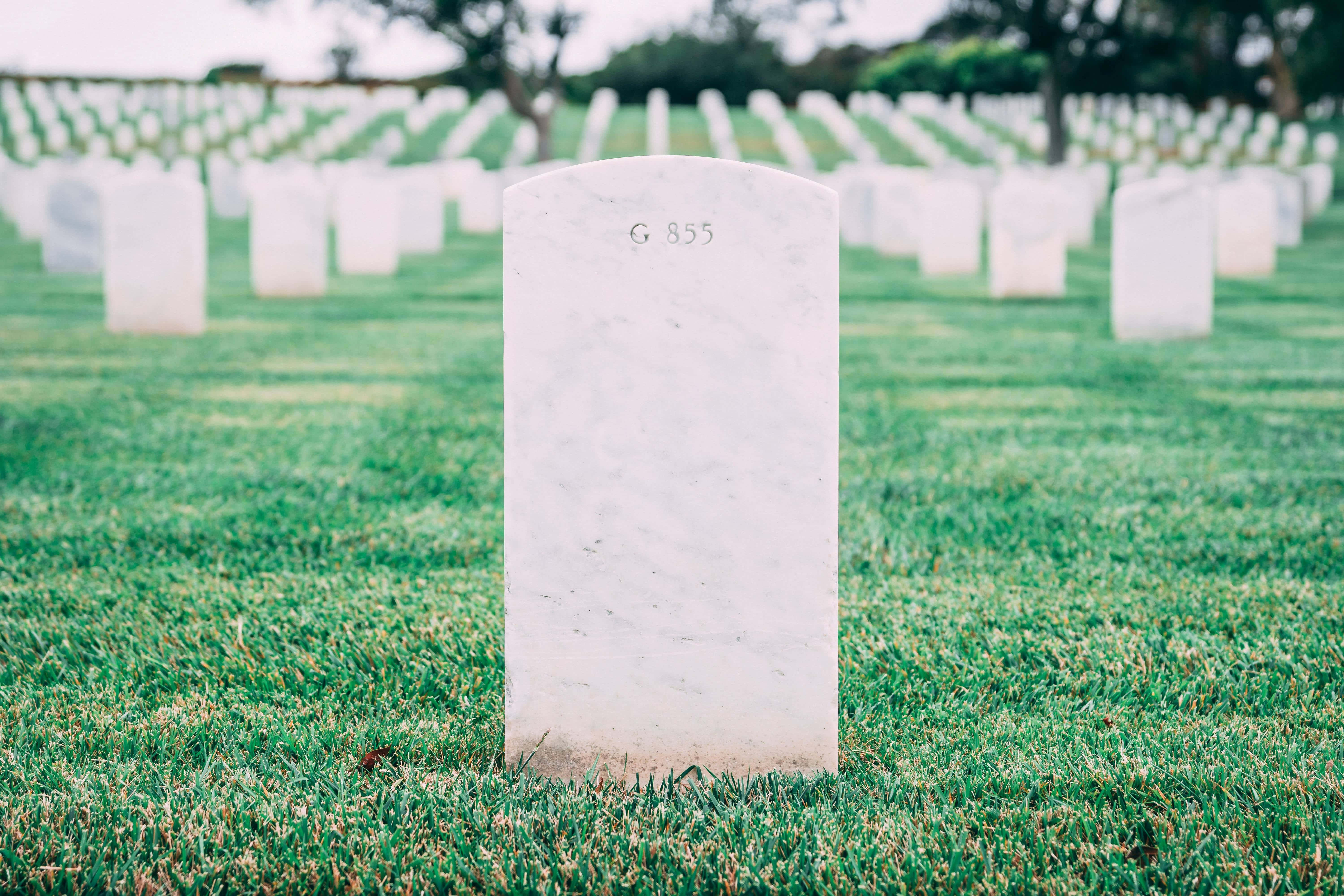 Gravestone 桌布 壁紙 — 一塊刻有 G 855 的白色大理石墓碑矗立在廣闊的綠色田野中，一排排相同的墓碑延伸到遠方。