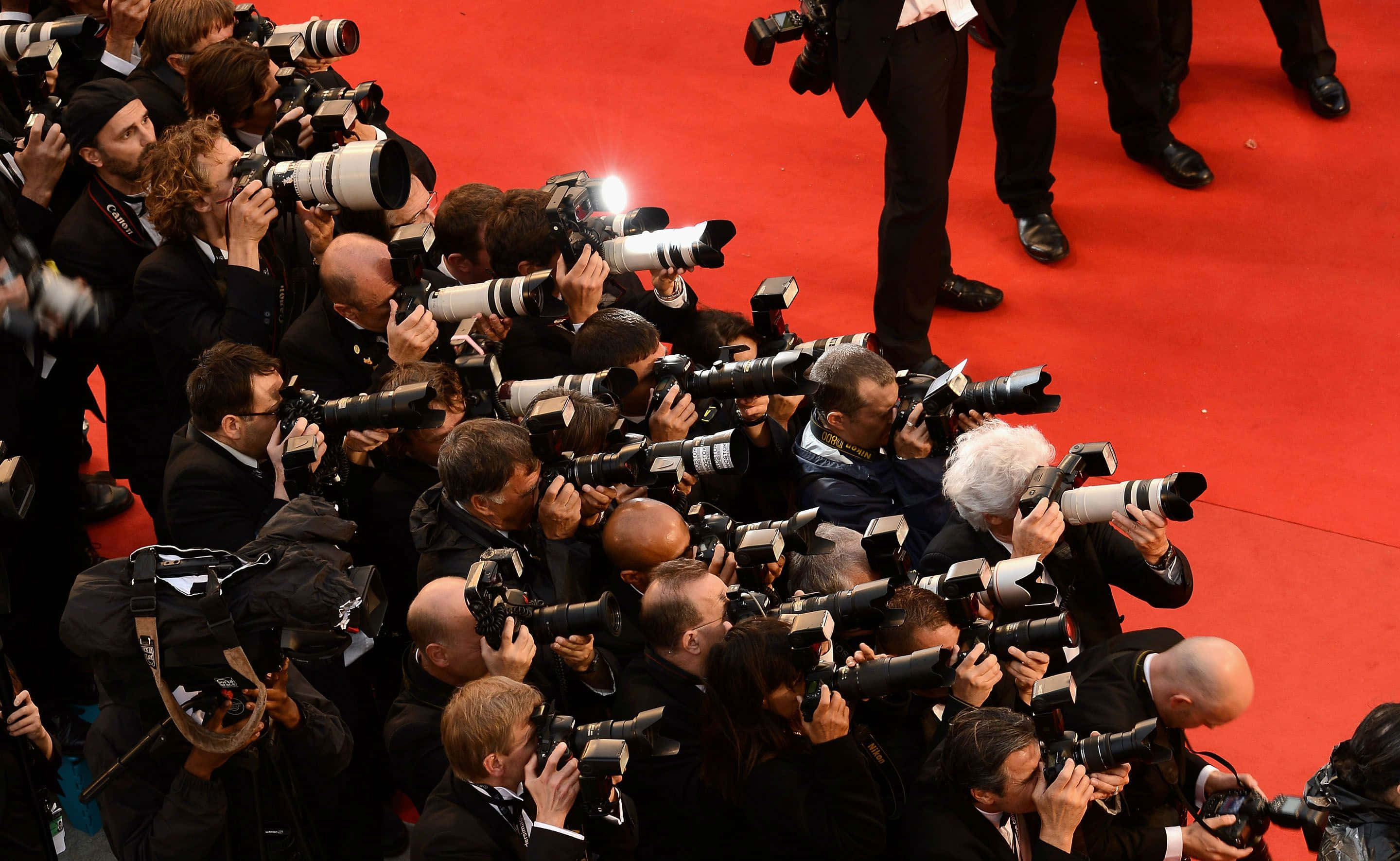 Paparazzi 桌布 壁紙 — 一大群攝影師帶著大型遠攝鏡頭，在充滿活力的紅地毯上向前擠壓，捕捉一個瞬間。