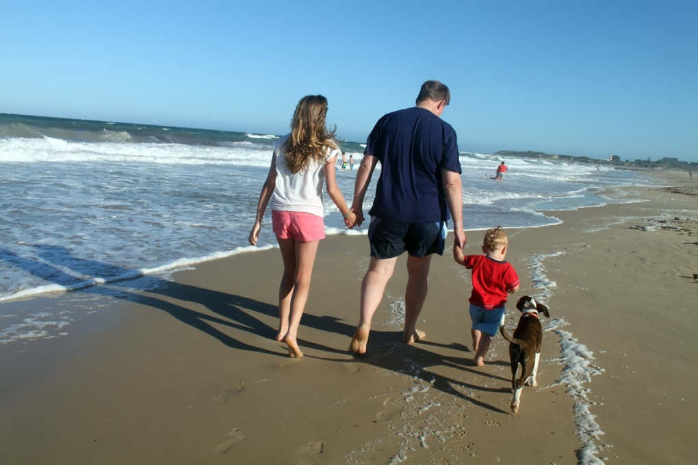 Beach Walk 桌布 壁紙 — 一家三口和他們的狗在陽光明媚的海灘上散步，海浪在附近拍打。