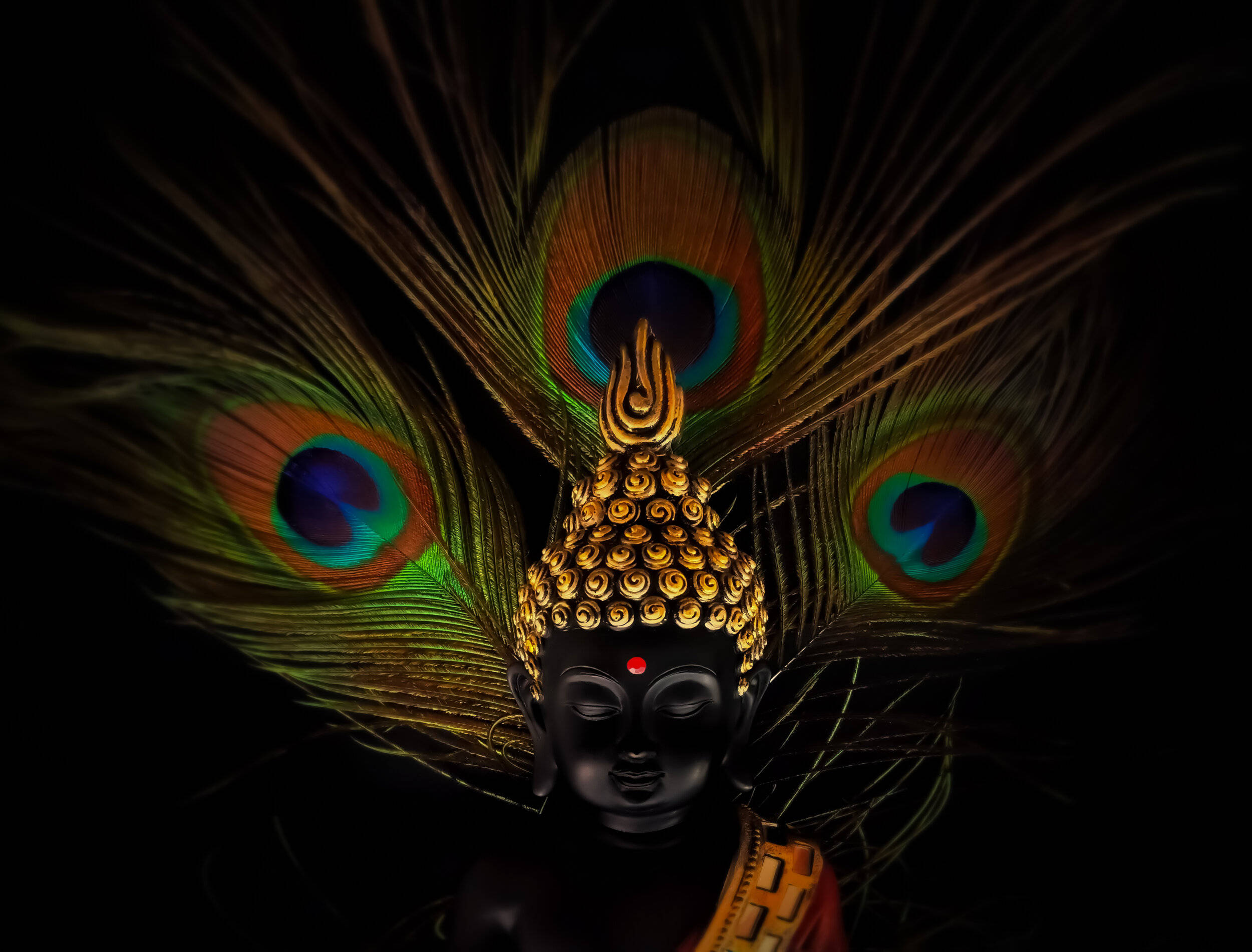 Indian 桌布 壁紙 — 一尊寧靜的佛像，飾以燦爛的孔雀羽毛，襯托在純黑背景上。