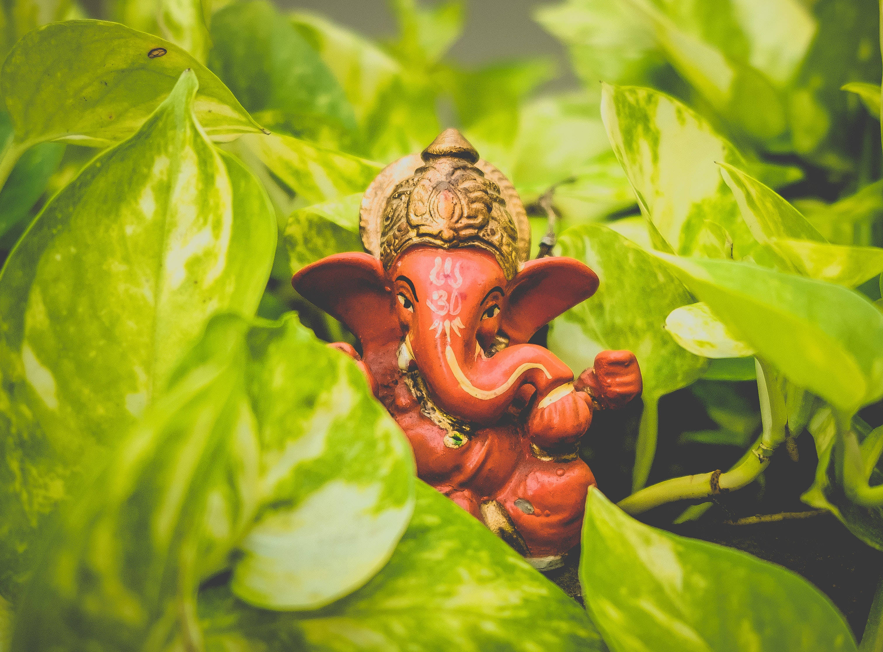 Ganesh 桌布 壁紙 — 一尊紅色象神雕像， nestled 在茂密花園環境中充滿活力的綠色雜色葉子之間。