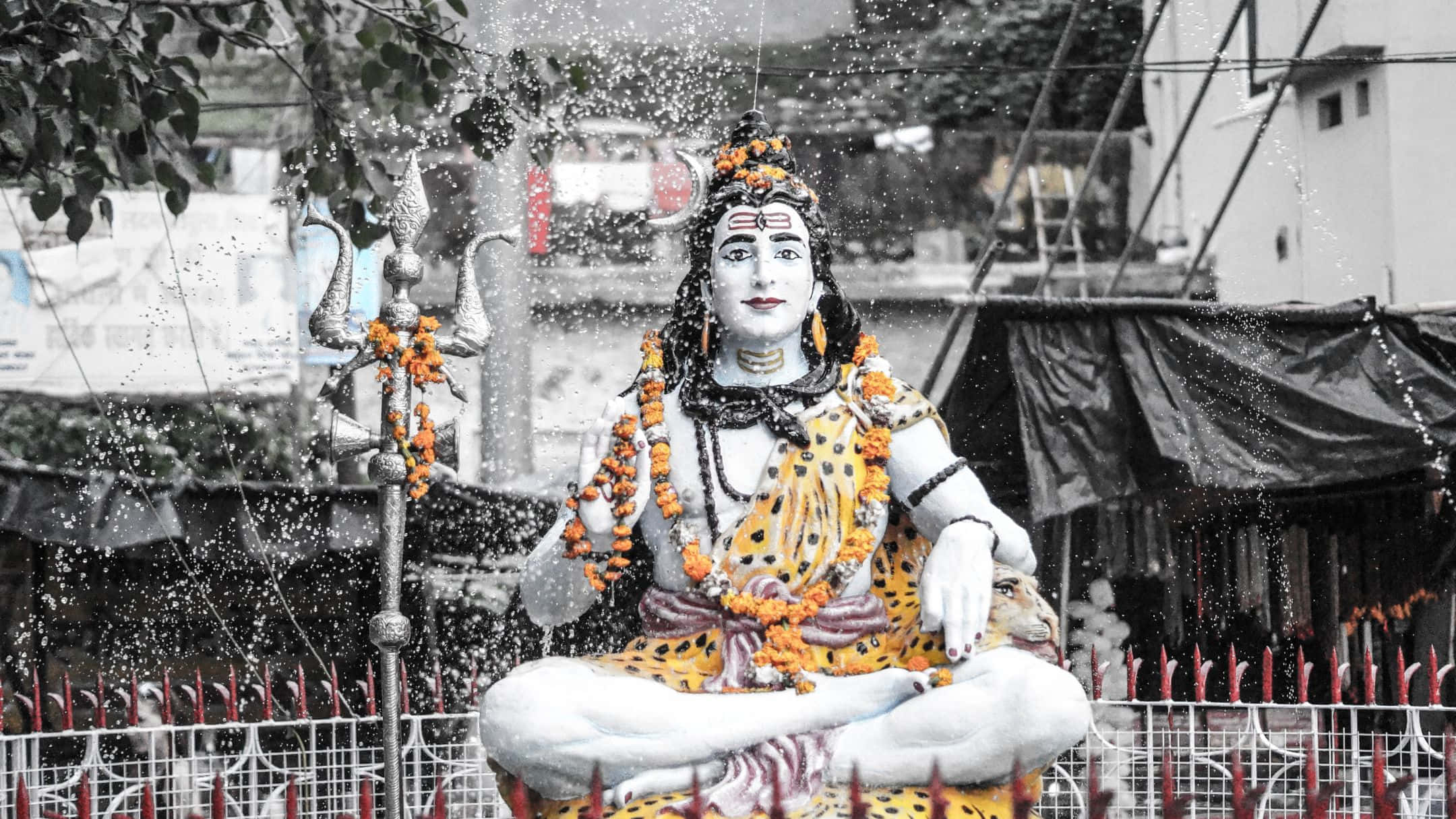 Shiva 桌布 壁紙 — 一尊色彩鮮豔的濕婆神像，飾以橙色萬壽菊花環，正在單色城市環境中被灑水。