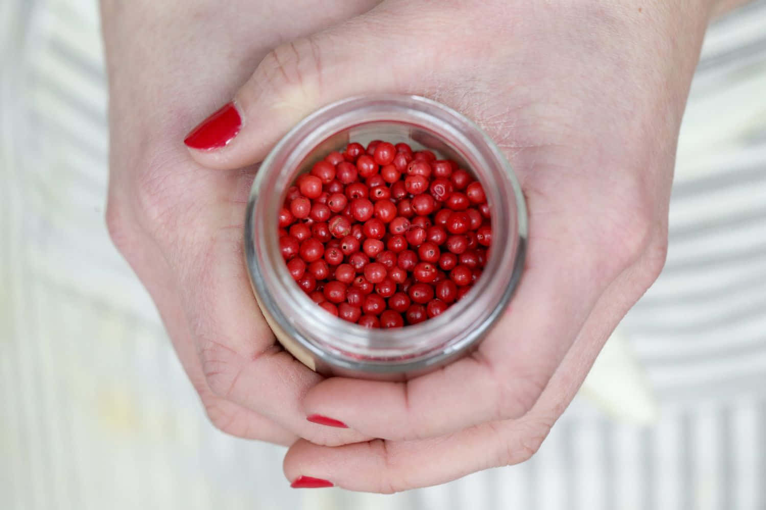Pink Peppercorn 桌布 壁紙 — 一對塗有紅色指甲油的手，在條紋背景前，輕輕捧著一個裝滿鮮紅胡椒粒的小玻璃罐。