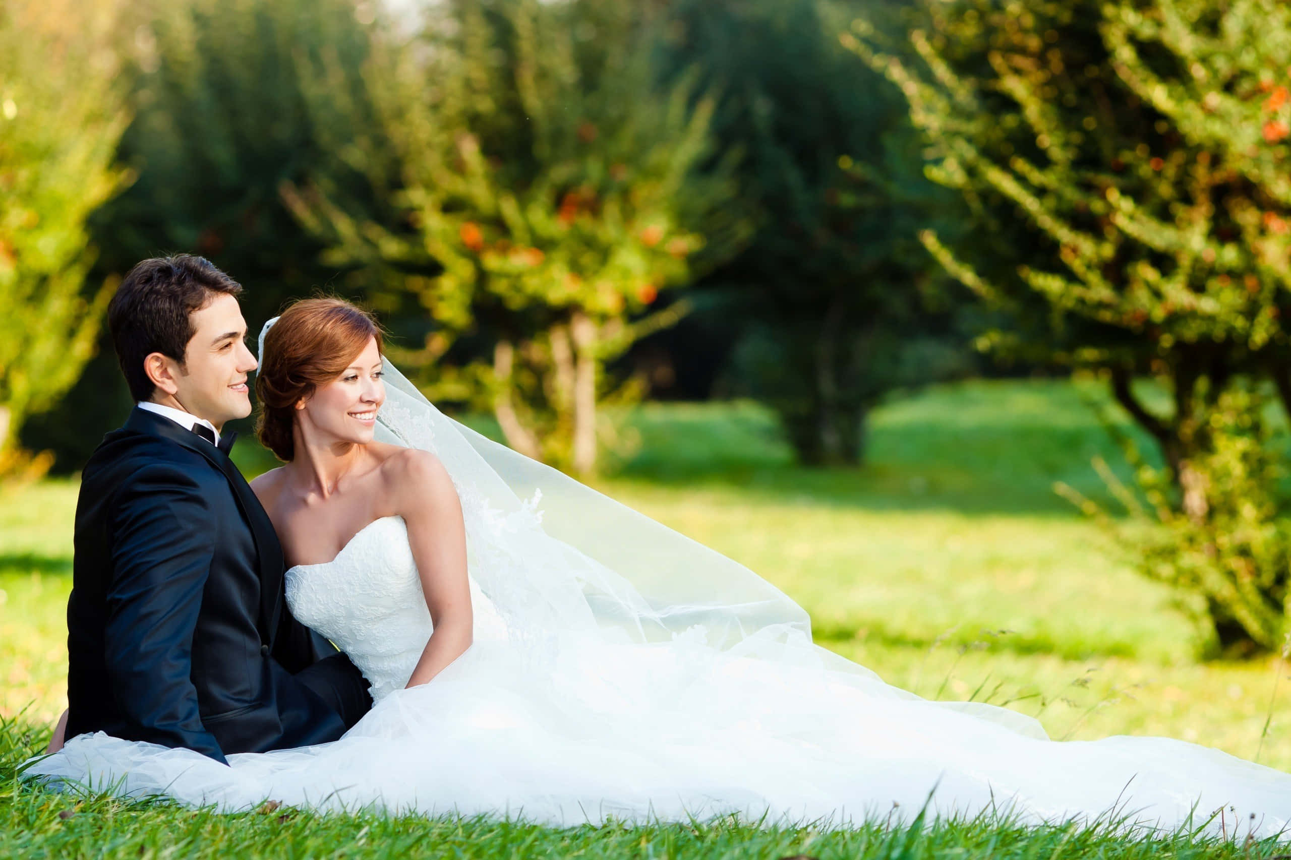 Wedding Couple 桌布 壁紙 — 一對微笑的新郎新娘在溫暖陽光下坐在草地上，背景有樹木。