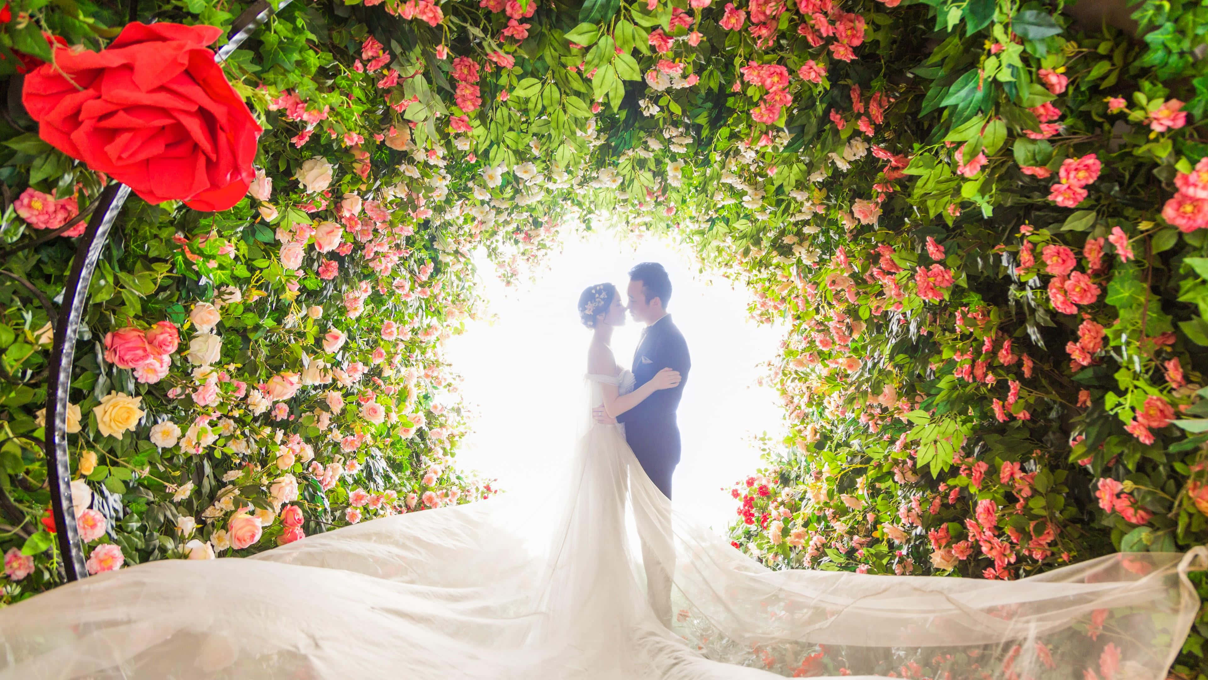 Garden Wedding 桌布 壁紙 — 一對情侶在充滿活力的花拱門下親吻，拱門散發著柔和背光，花瓣如瀑布般飄落。