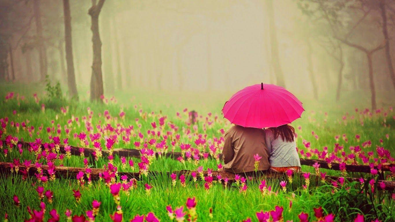 couple cuddle 桌布 壁紙 — 一對情侶在霧氣瀰漫的森林中，坐在粉紅花田的長椅上，共用一把亮粉紅色的雨傘。