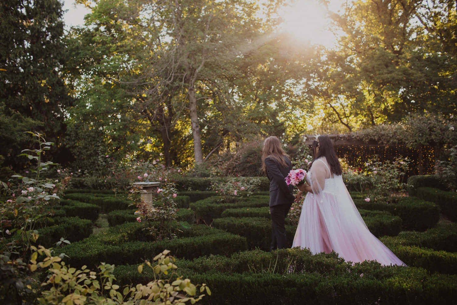Garden Wedding 桌布 壁紙 — 一對穿著婚禮服飾的情侶站在陽光普照的玫瑰園迷宮中，金色光線穿過樹木灑落。