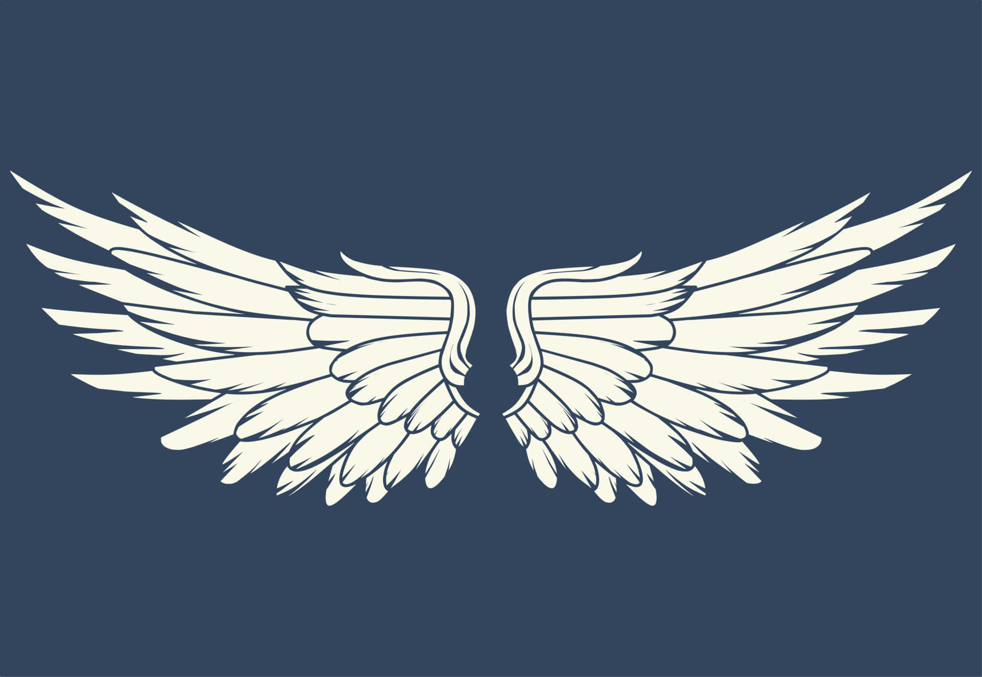 Wings 桌布 壁紙 — 一對精緻的白色天使翅膀在純深藍色背景上展開。