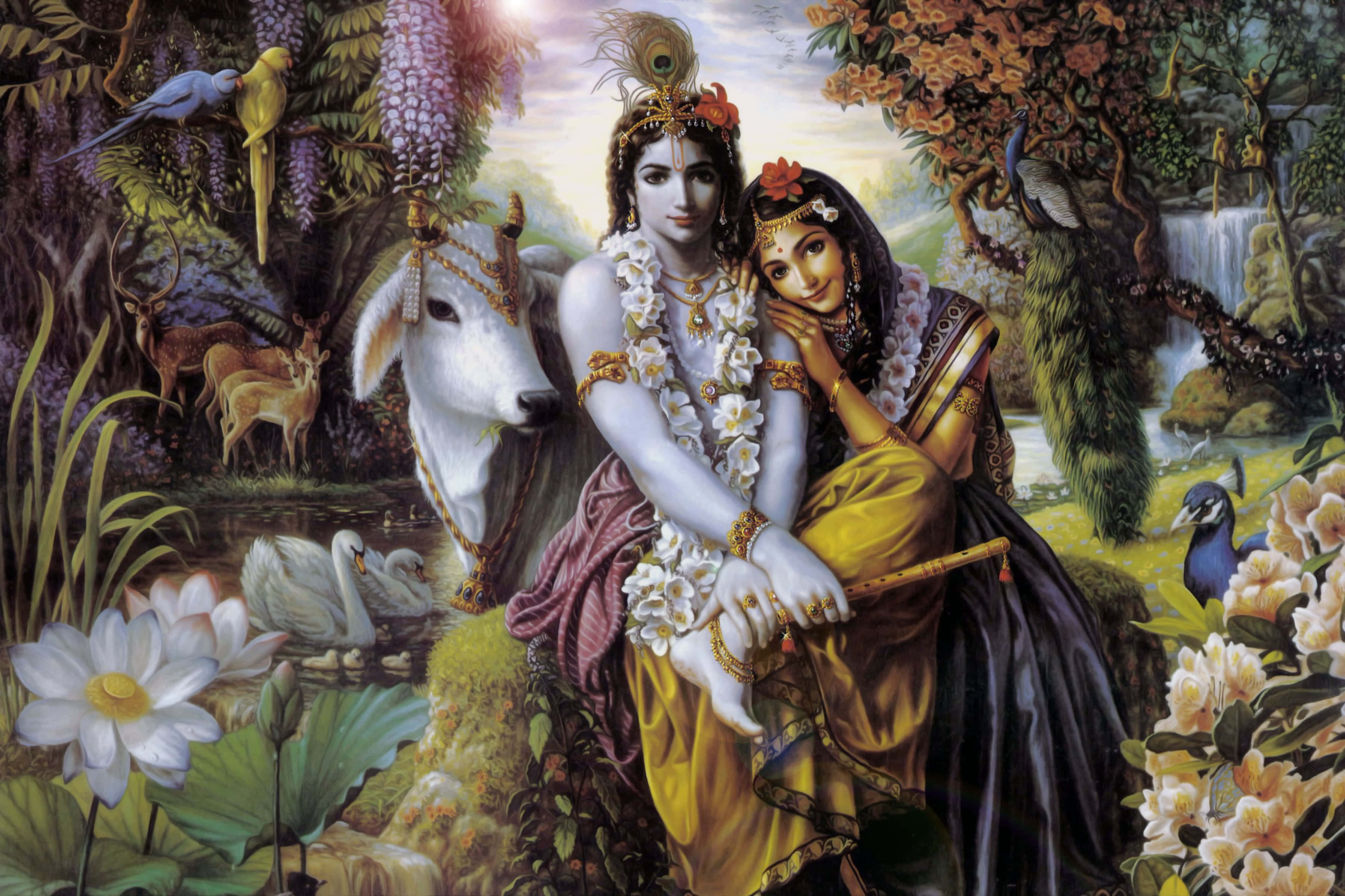 Radha Krishna 桌布 壁紙 — 一對身穿華麗服飾的神聖情侶坐在茂盛的動植物中，有一頭白牛和瀑布在寧靜的神話花園裡。