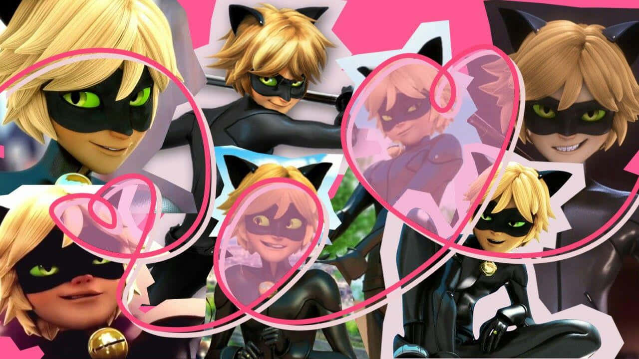 Ladybug And Cat Noir 桌布 壁紙 — 一幅充滿活力的 Cat Noir（來自 Miraculous）拼貼畫，以粉紅色心形主題背景展示多種姿勢和表情。
