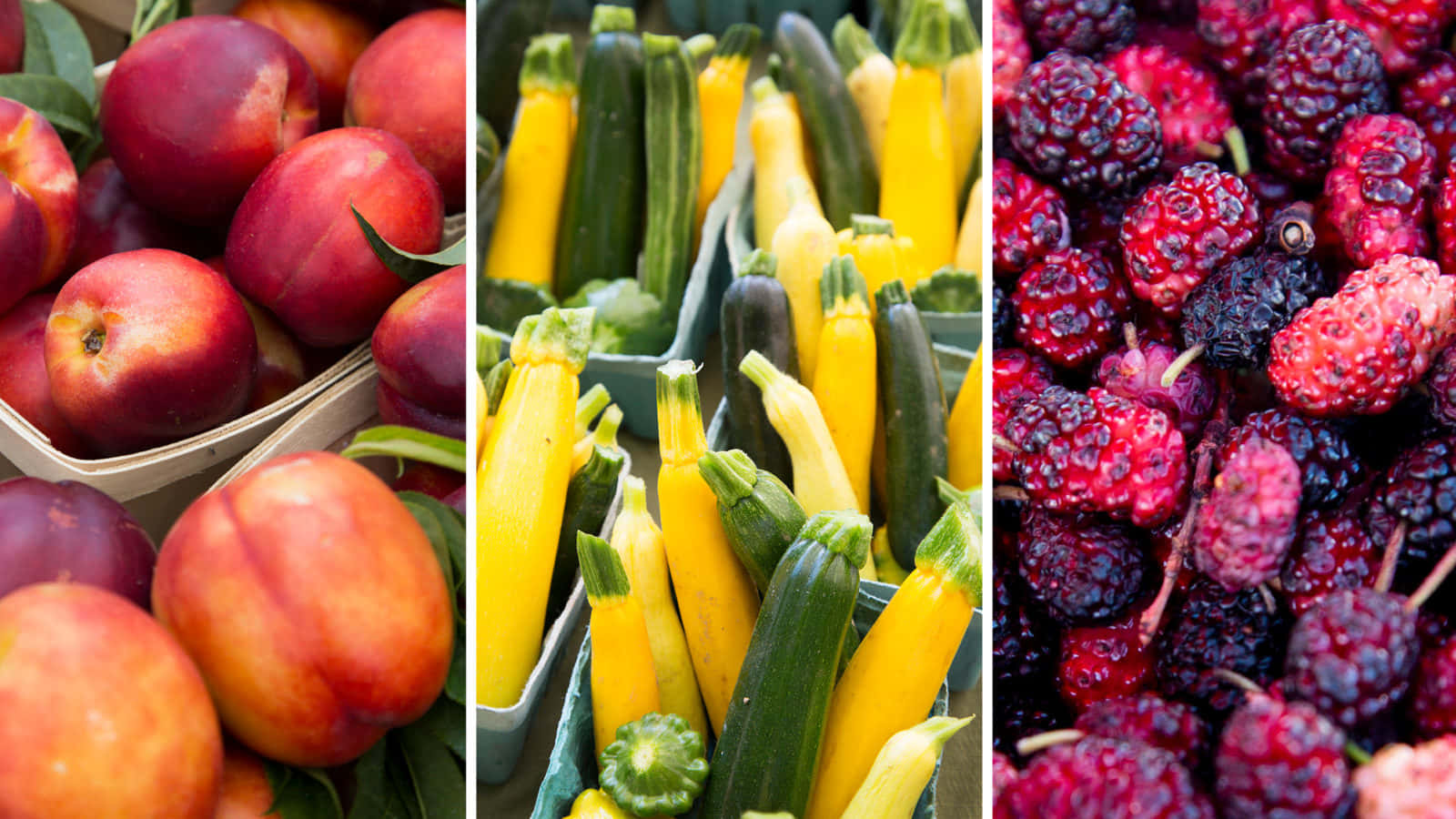Farmers Market 桌布 壁紙 — 一幅充滿活力的三聯畫，展示成熟的水蜜桃、飽滿的翠玉瓜和多汁的桑葚，呈現豐富的秋日色調。