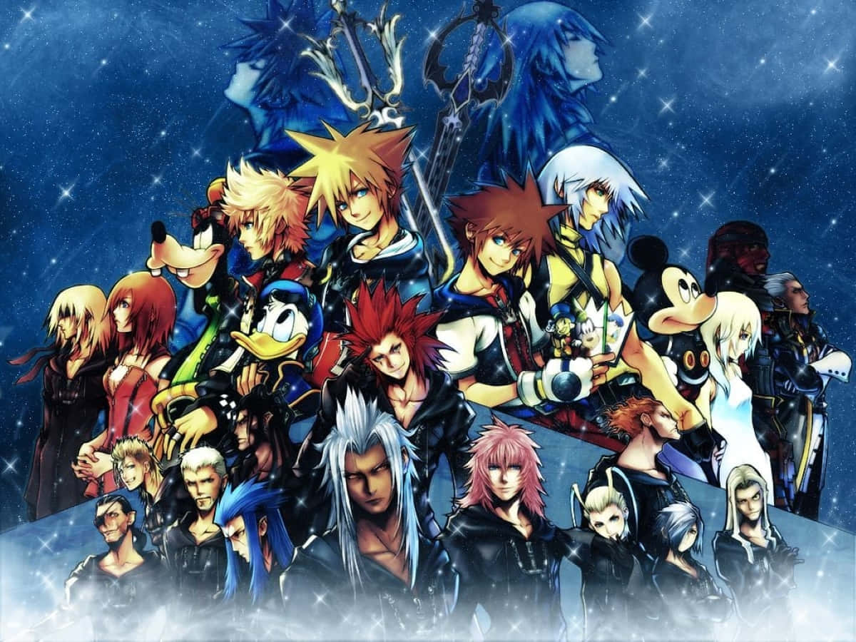 Kingdom Hearts Organization 13 桌布 壁紙 — 一幅充滿活力的動畫群像，描繪《王國之心》角色在閃爍星空夜景下的場景。