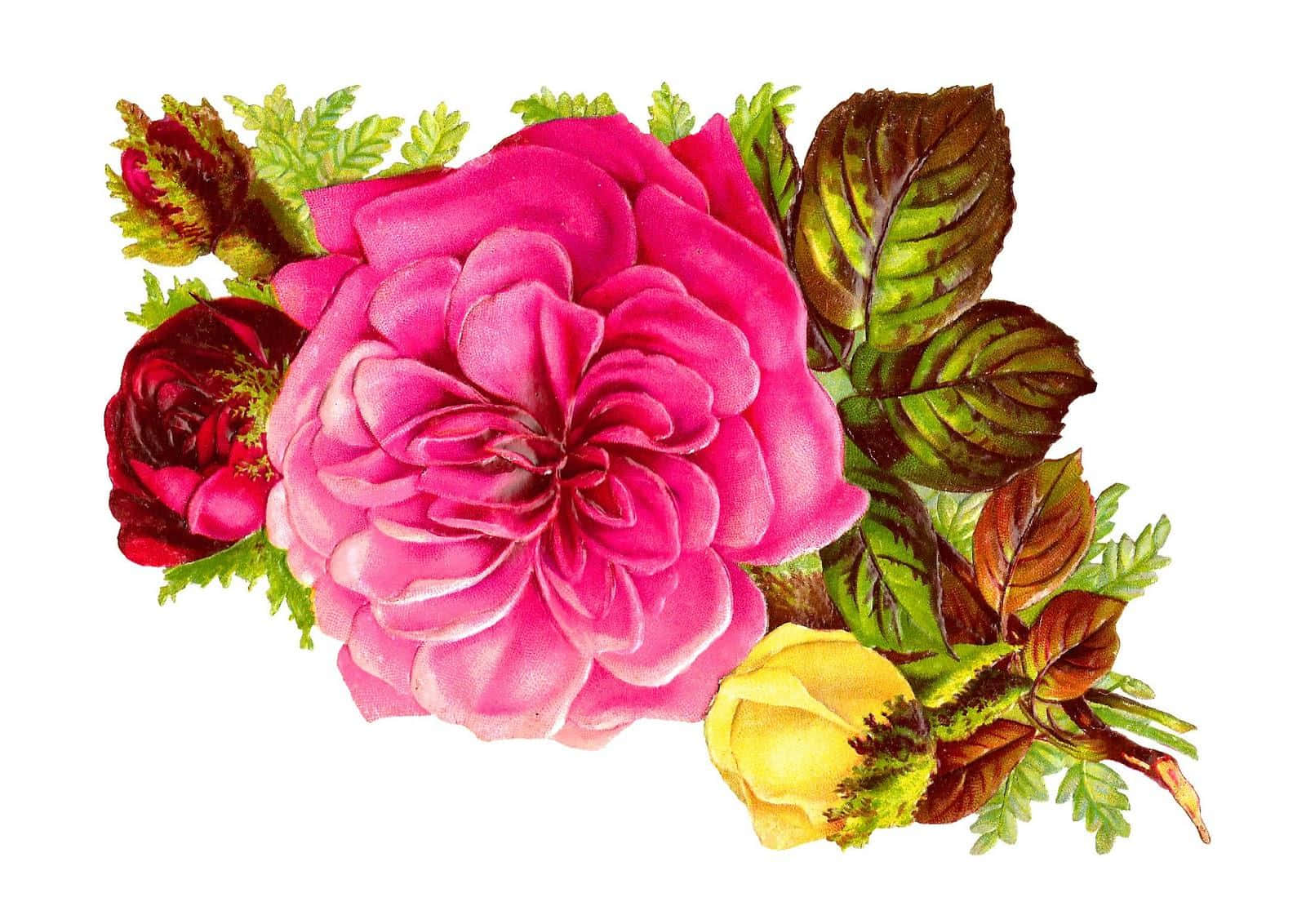 Rose Art 桌布 壁紙 — 一幅充滿活力的水彩插圖，描繪一朵大粉紅玫瑰，帶有深紅色的花蕾和一朵黃色玫瑰花蕾，周圍環繞著茂盛的綠色和棕色葉子。