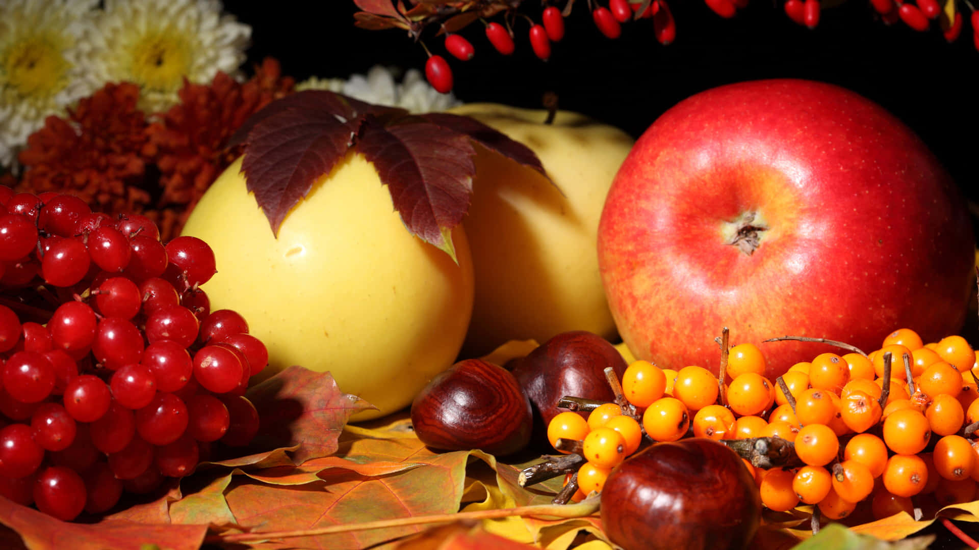 Autumn Food 桌布 壁紙 — 一幅充滿活力的秋季靜物畫，紅蘋果、紅加侖子、橙色漿果和栗子藏在色彩繽紛的落葉中。