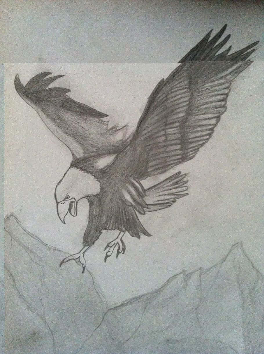 Charcoal Drawings 桌布 壁紙 — 一幅動態鉛筆素描，描繪一隻白頭鷹在鋸齒狀山峰上空展翅翱翔。