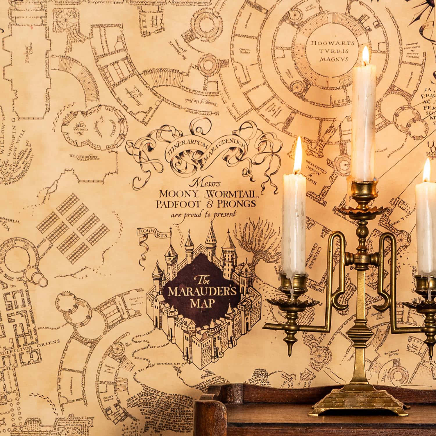 The Marauder's Map 桌布 壁紙 — 一幅古董劫盜地圖壁紙，帶有精緻的手繪細節，由黃銅燭台上的三根點燃蠟燭照亮。