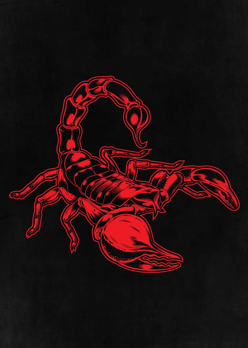 Red Scorpion 桌布 壁紙 — 一幅大膽的紅色蠍子插圖，在帶有紋理的黑色背景上，以銳利的線條和發光的高光脫穎而出。