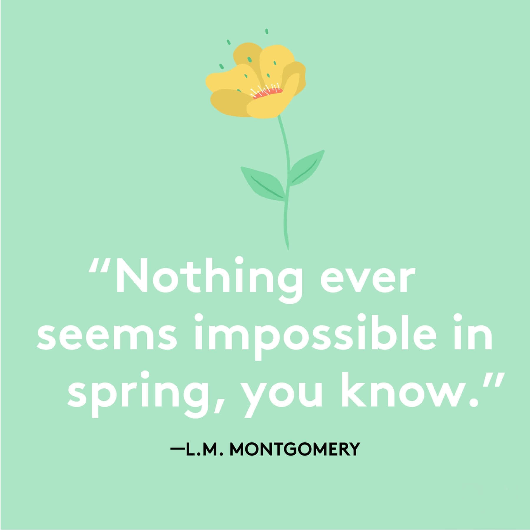 Spring Quotes 桌布 壁紙 — 一幅極簡插圖，描繪一朵黃色花朵，帶有綠色莖和葉子，背景為薄荷綠色，並附有L M Montgomery的名言。