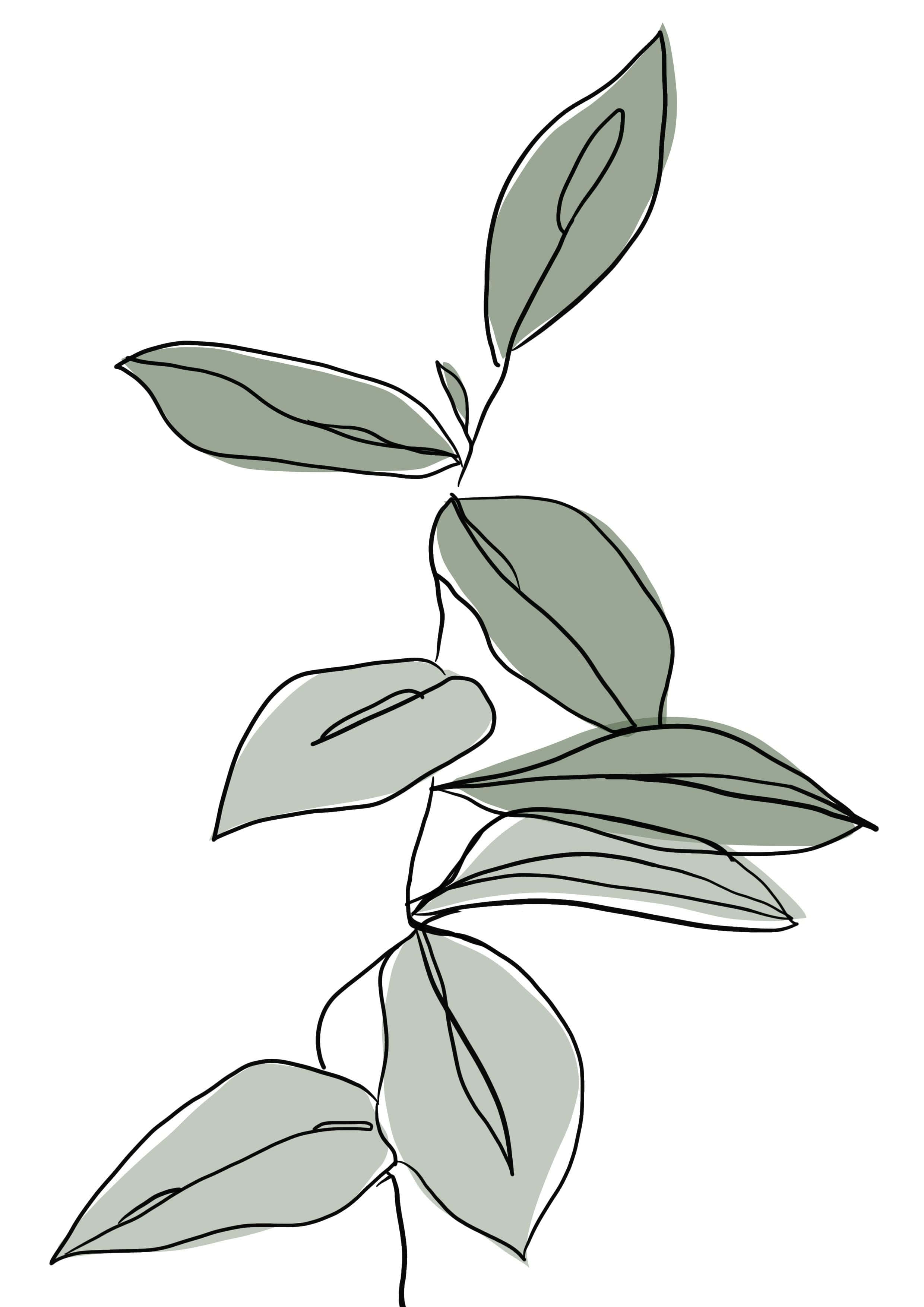 Outline 桌布 壁紙 — 一幅極簡線條畫，描繪帶有柔和陰影的綠色葉莖，背景為白色。