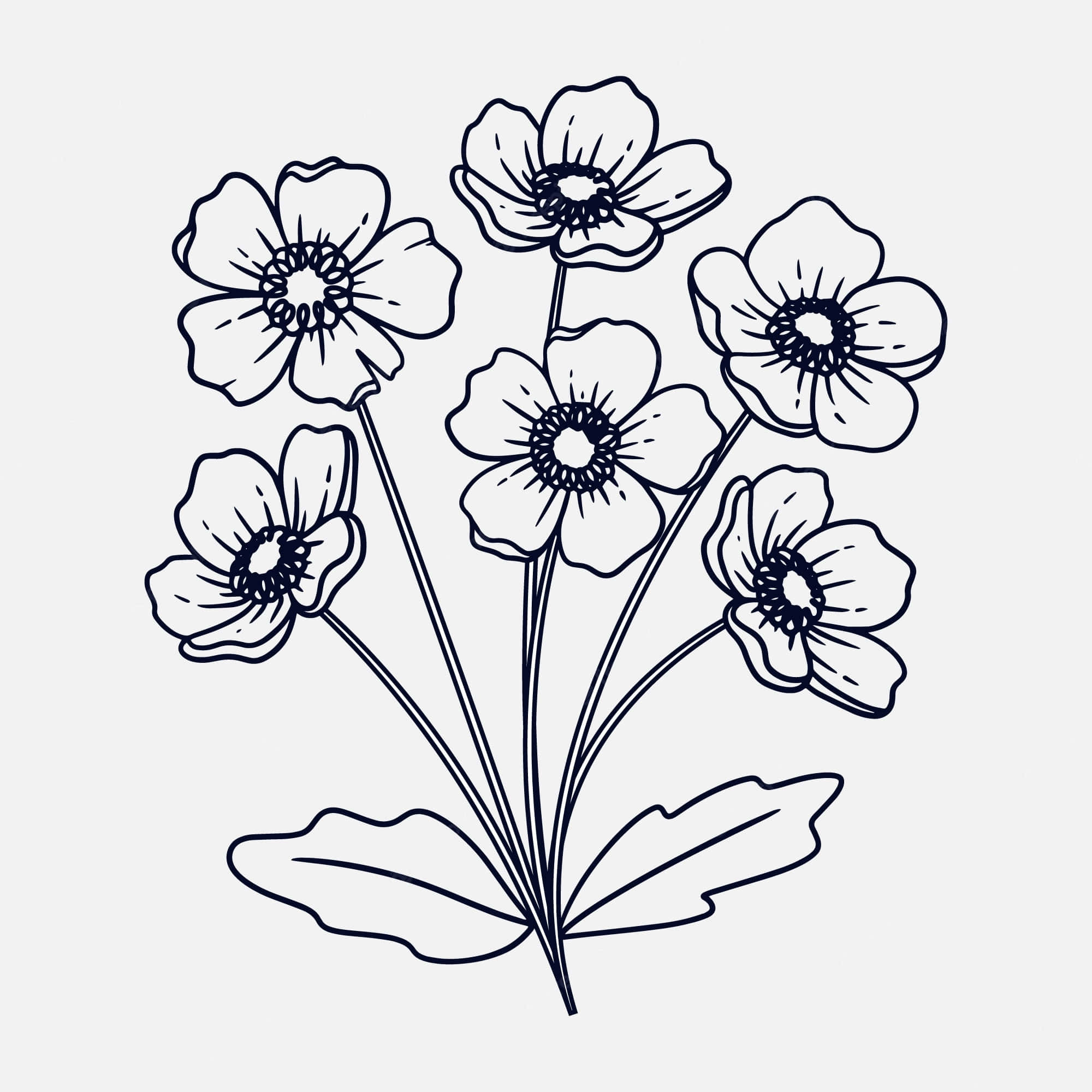 Black And White Drawings 桌布 壁紙 — 一幅極簡黑色線條畫，描繪五朵精緻的花朵，帶有詳細的花心及兩片葉子，背景為淺灰色。
