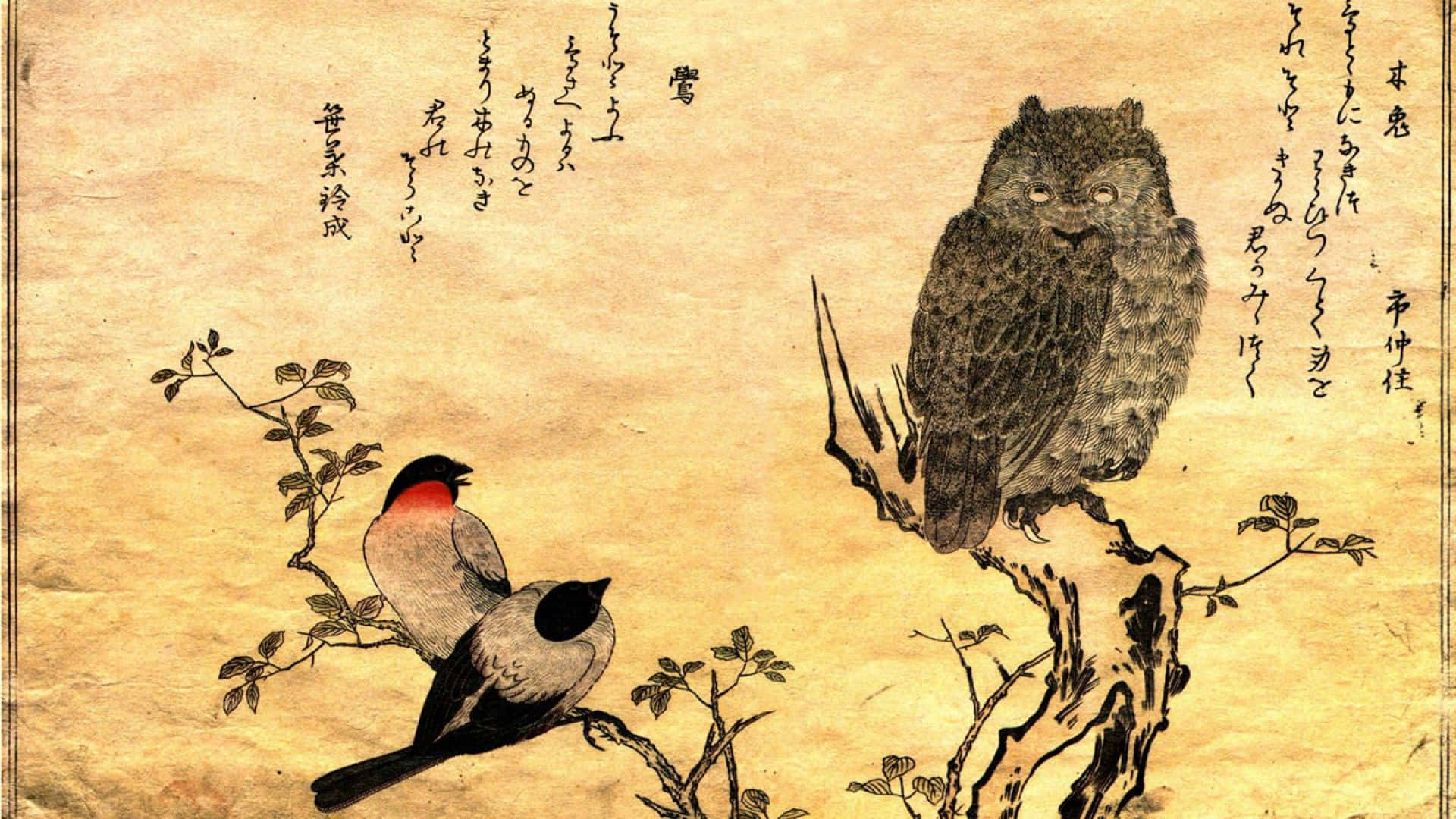 Painting 桌布 壁紙 — 一幅水墨畫描繪了一隻貓頭鷹和兩隻鳥棲息在樹枝上，背景是帶有日本書法的古舊羊皮紙。