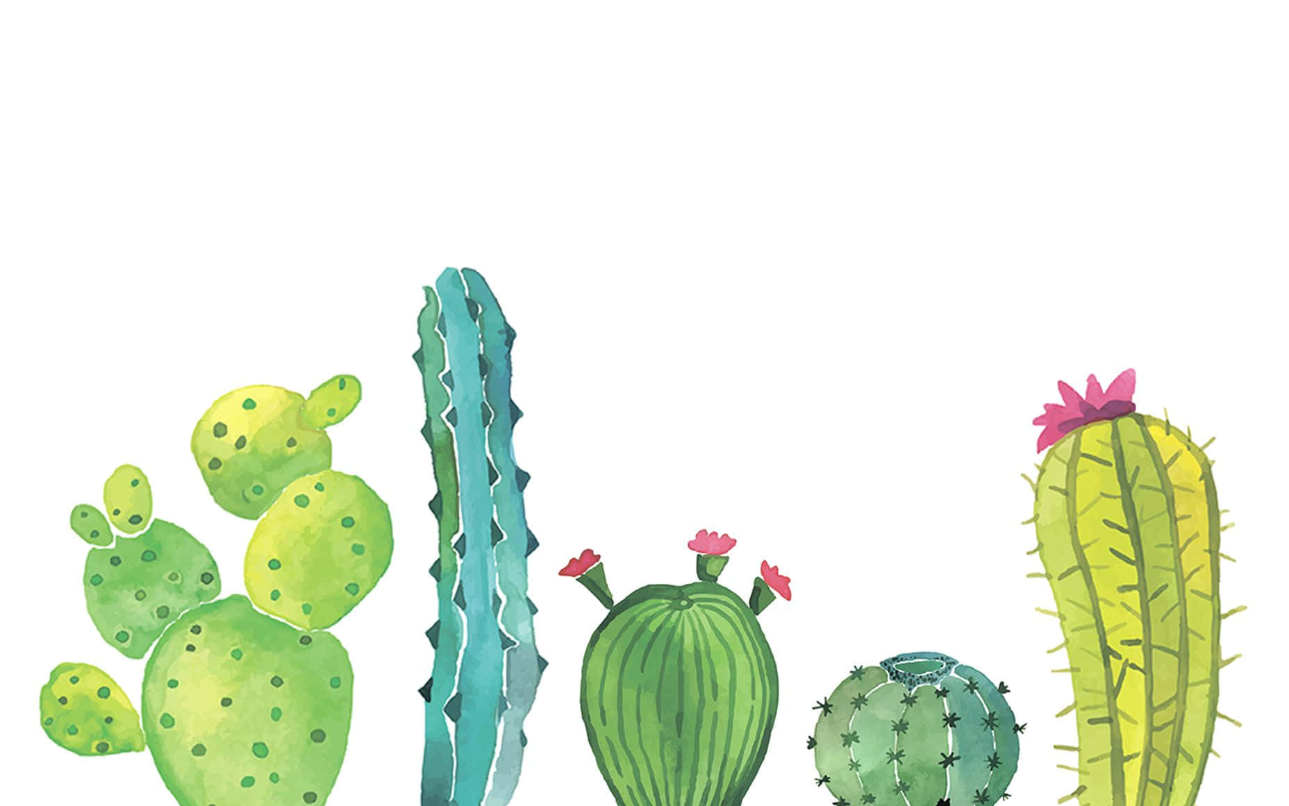 Kawaii Cactus 桌布 壁紙 — 一幅水彩插圖，描繪五棵色彩繽紛的仙人掌，帶有粉紅色花朵，背景為純白色。