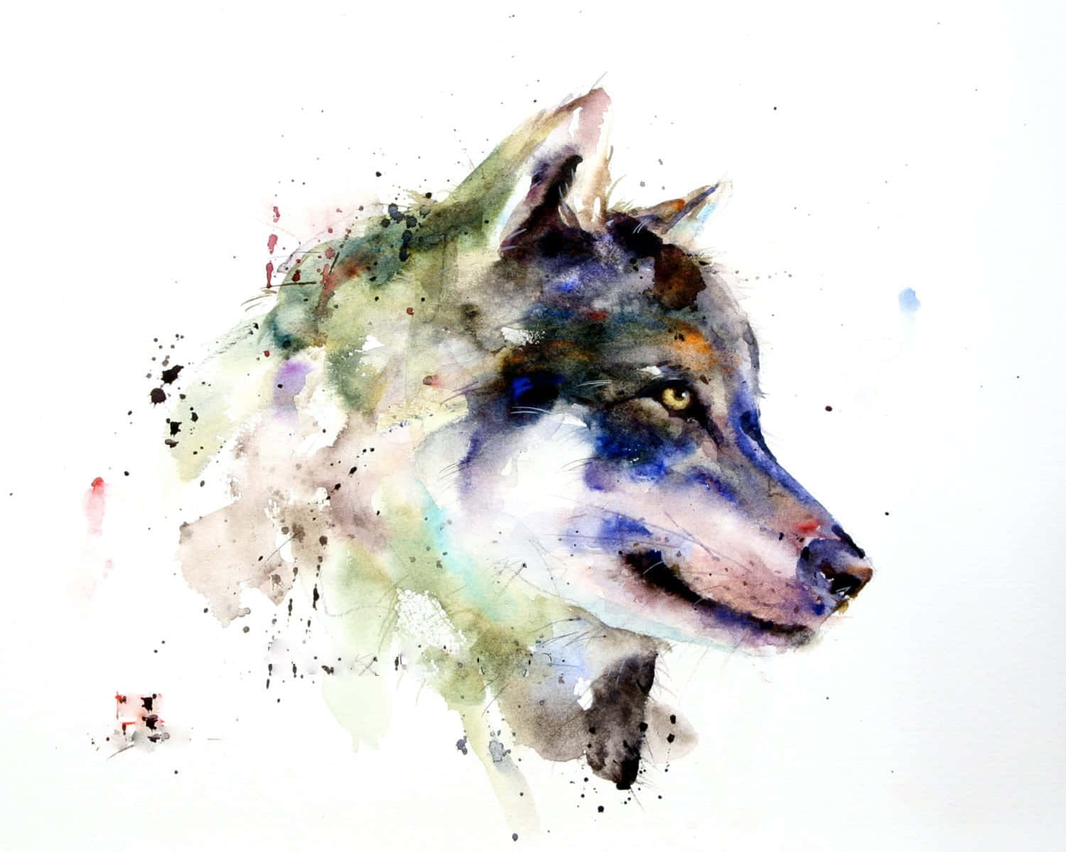 Wolf Art 桌布 壁紙 — 一幅水彩畫，描繪狼的頭部側面，帶有飛濺的顏料和柔和混合的色調，背景為白色。