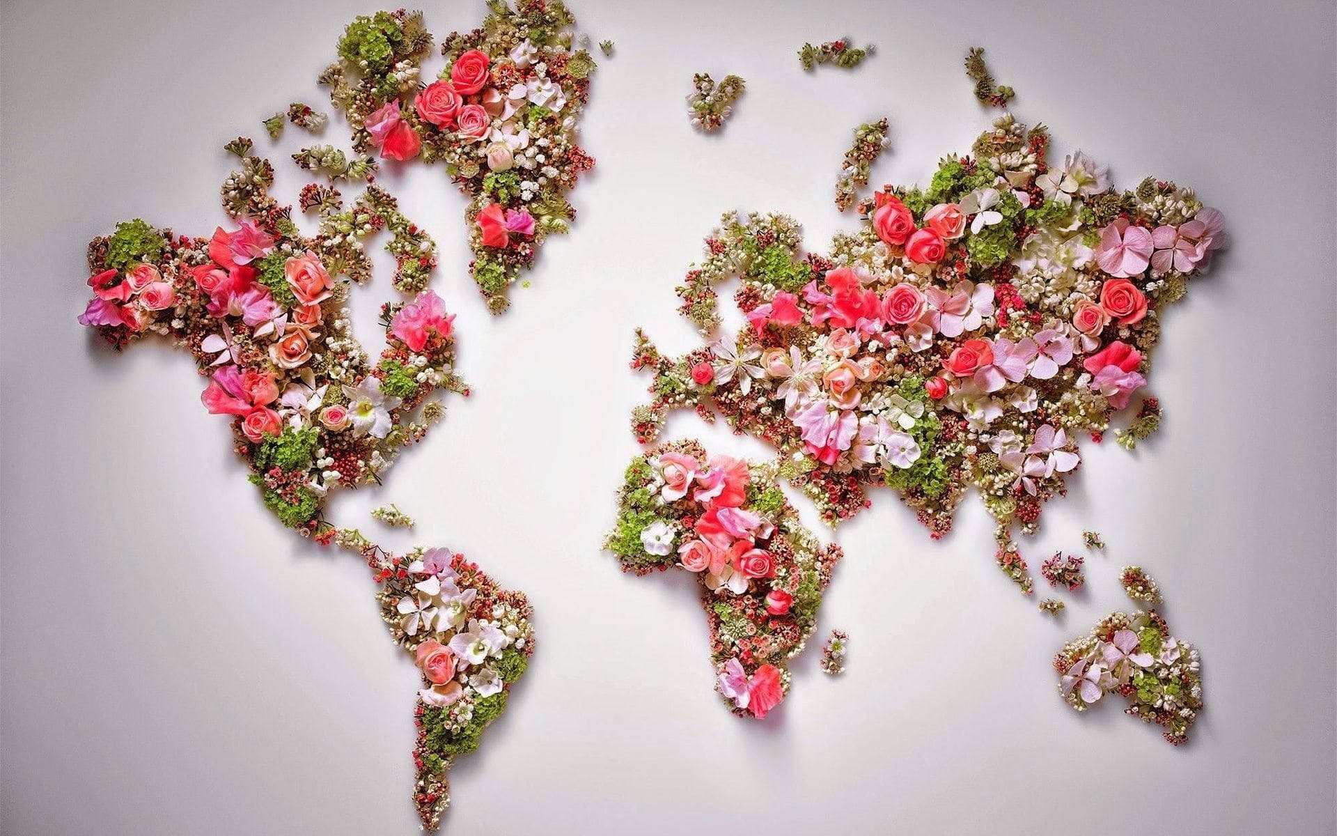 花卉動畫 桌布 壁紙 — 一幅由粉紅玫瑰和綠色葉子製成的充滿活力的花卉世界地圖，背景為柔和的灰色。