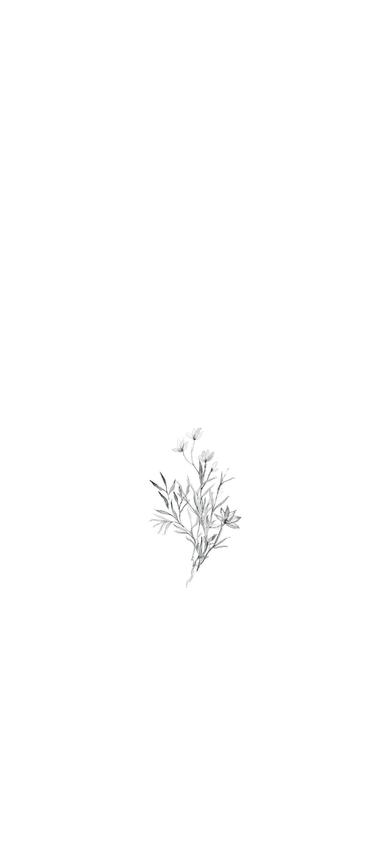 Digital 桌布 壁紙 — 一幅精緻的鉛筆素描，描繪了一根細小的野花枝條，帶有纖細的莖和微小的花朵，位於純白背景的中央。