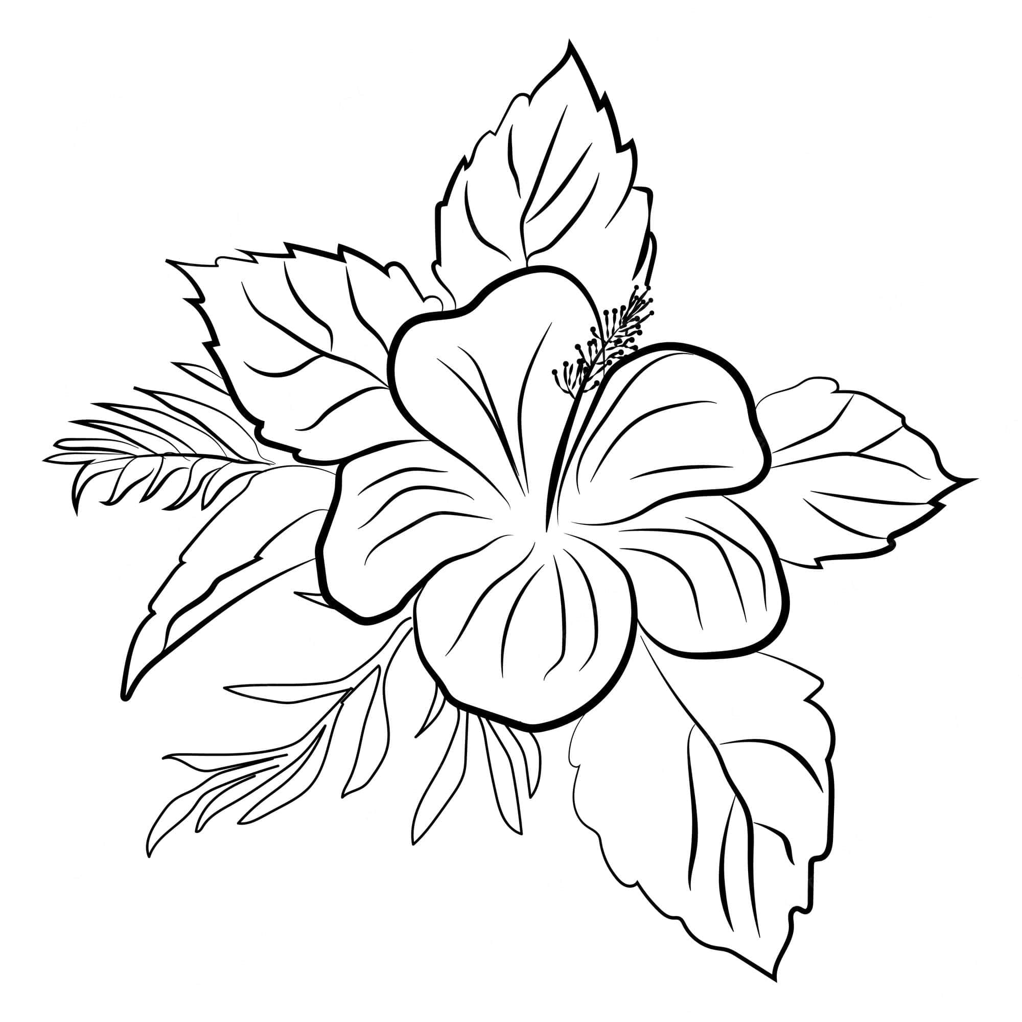 Black Art 桌布 壁紙 — 一幅精緻的黑白線條畫，描繪一朵芙蓉花，花瓣細節豐富，周圍有葉子。