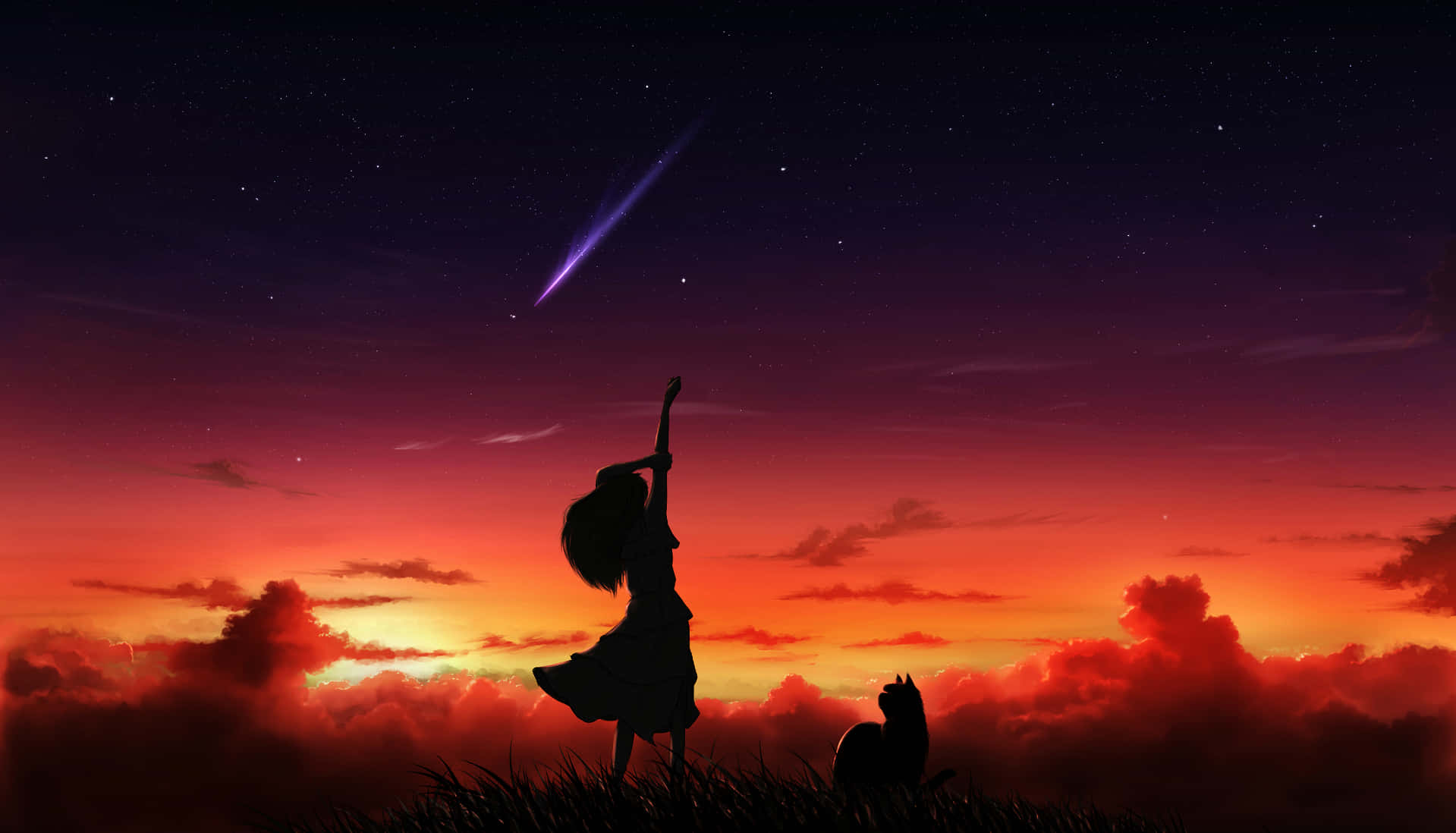 女孩和貓在日落時看流星