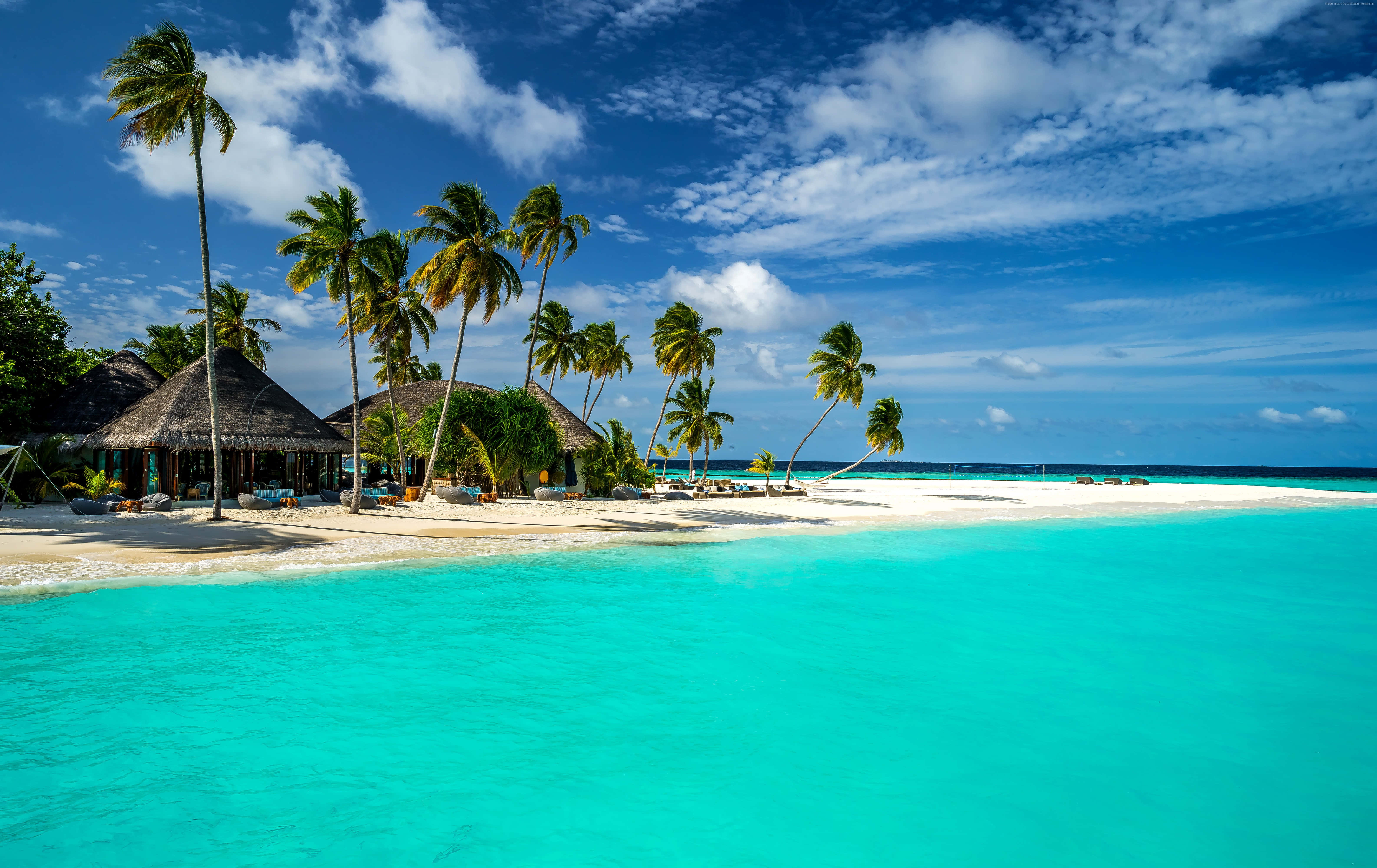 一幅美麗的海灘天空風景 壁紙 — 一片充滿活力的碧綠潟湖拍打著白色沙灘，沙灘兩旁種滿棕櫚樹和茅草屋，上方是明亮的藍天。