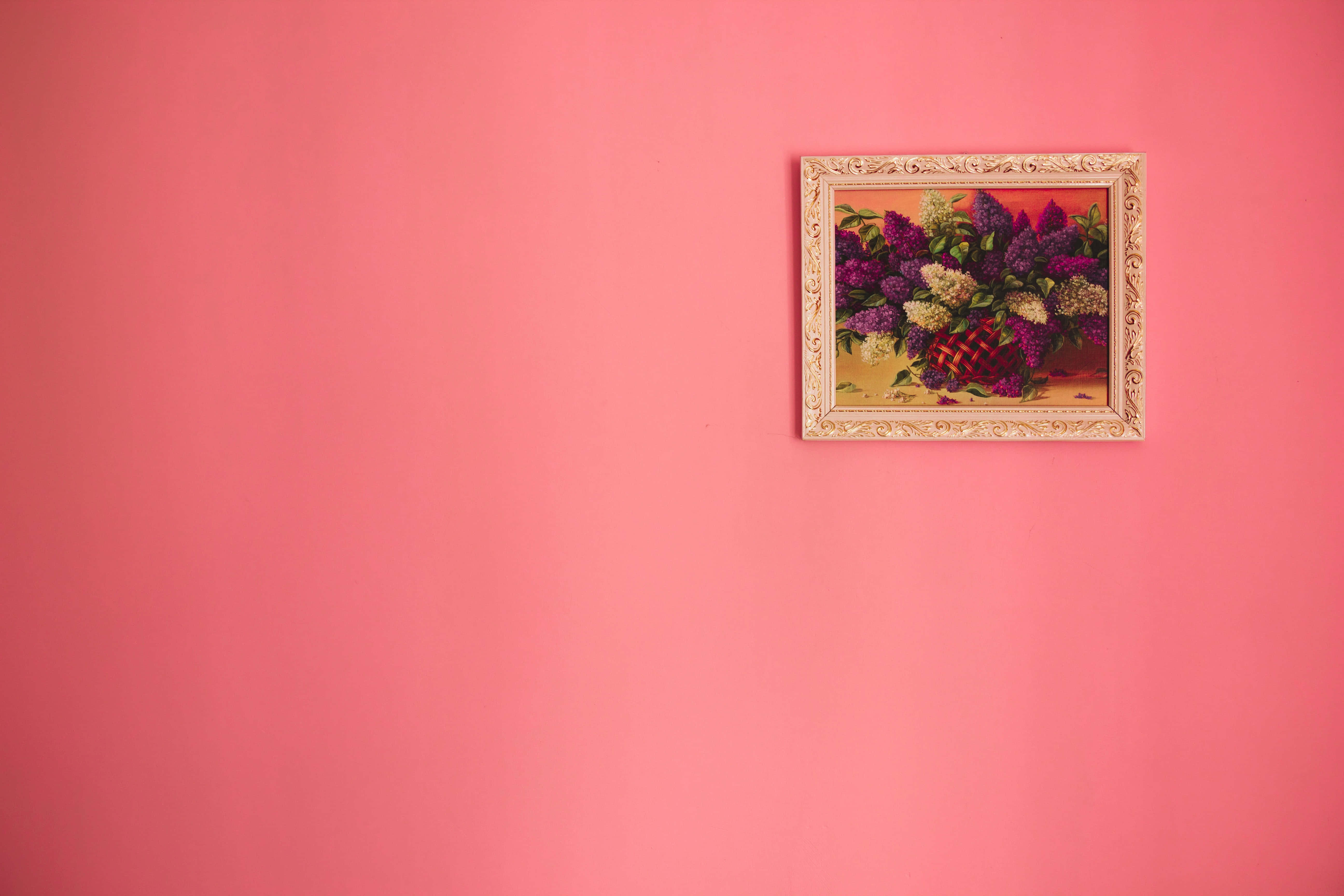 Pink Wall 桌布 壁紙 — 一幅華麗的金框畫作，描繪紅籃中的紫白丁香花，懸掛在純粉紅色的牆壁中央。