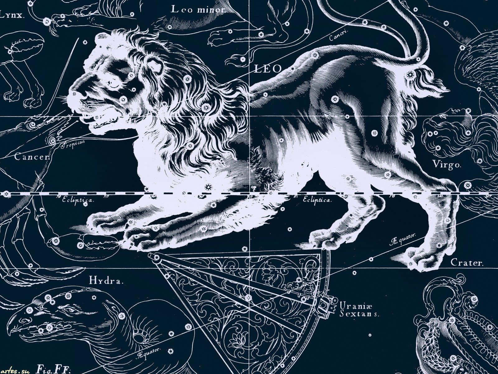 獅子 桌布 壁紙 — 一幅複雜的復古星圖插圖，以深海軍藍背景展示獅子座作為雄偉的獅子。