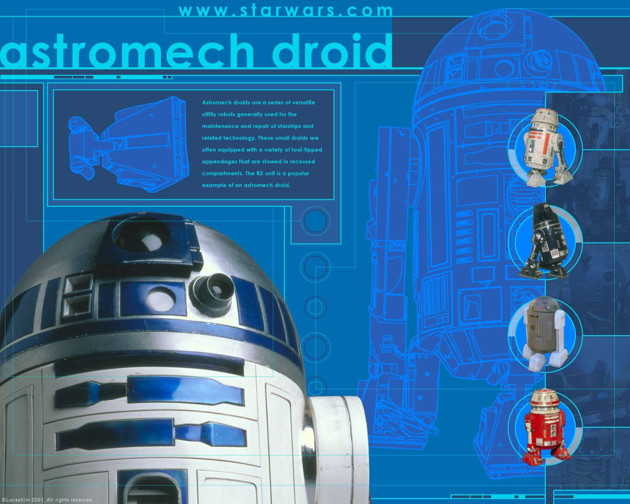 機械人 桌布 壁紙 — 一幅詳細的藍圖風格插圖，描繪了R2-D2和其他宇航技工機器人，背景為鮮豔的藍色技術背景。
