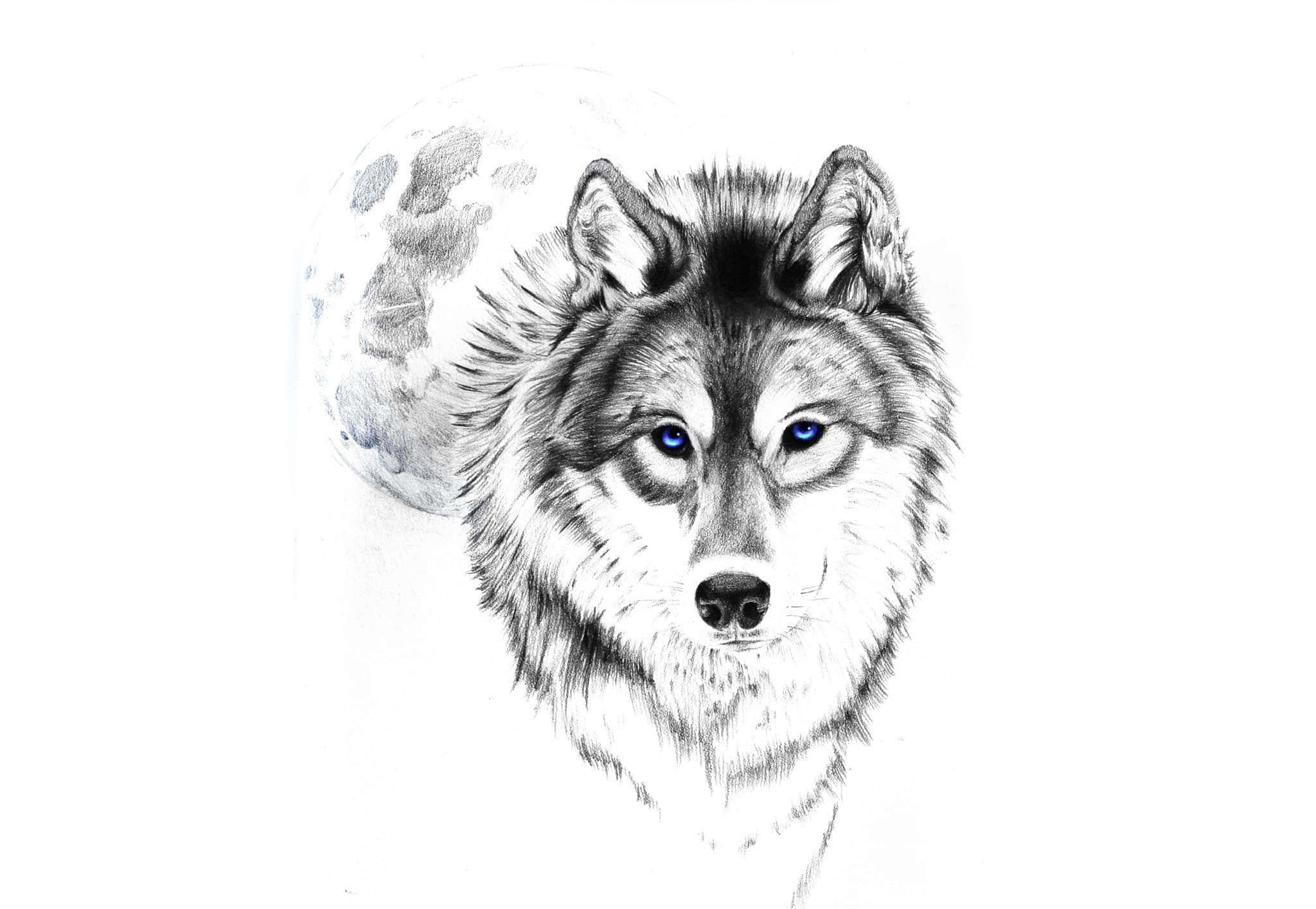 Wolf Tattoo 桌布 壁紙 — 一幅詳細的鉛筆素描，描繪一隻擁有銳利藍色眼睛的狼，在滿月背景下直視前方。