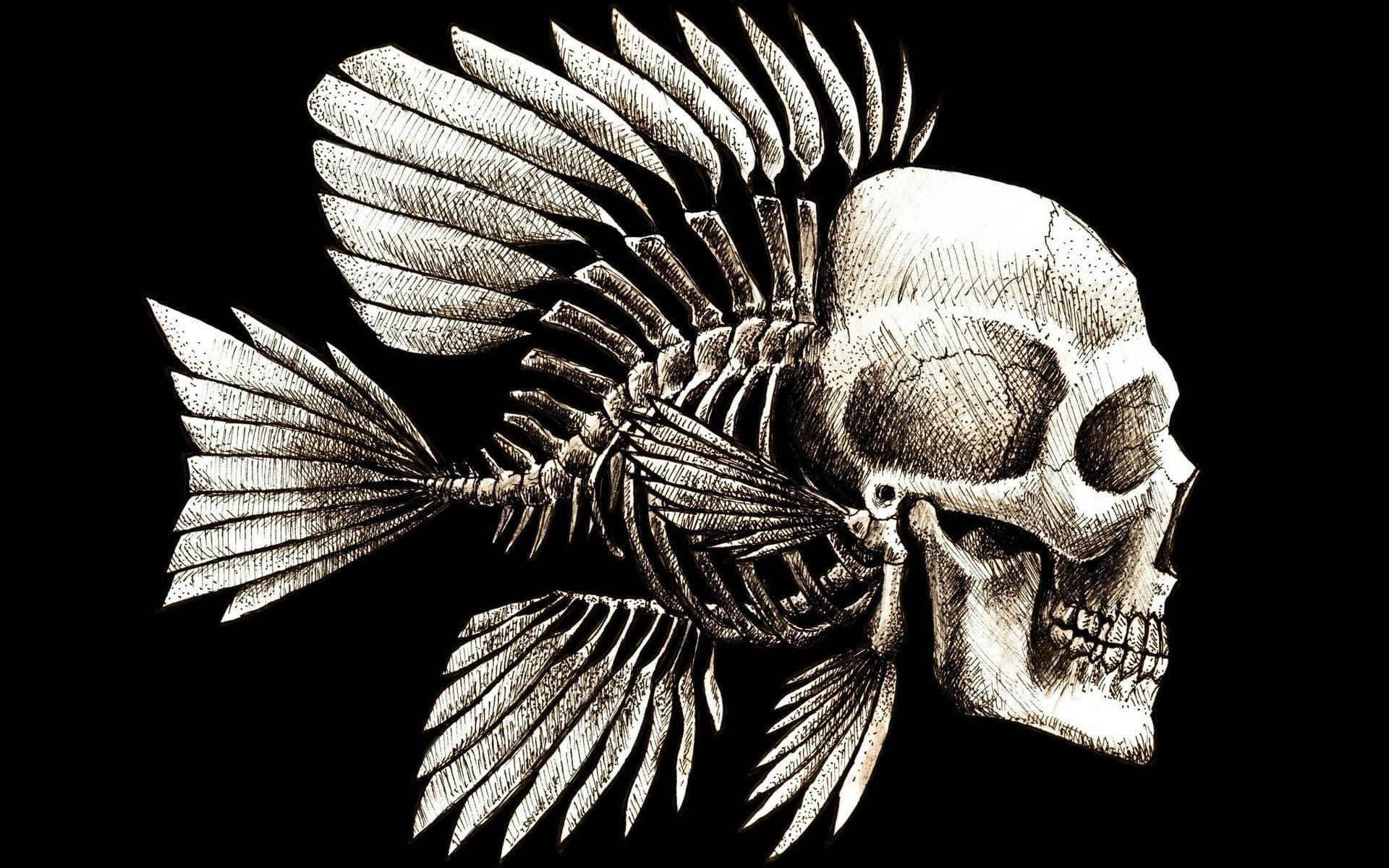 骷髏 桌布 壁紙 — 一幅詳細的黑白插圖，描繪魚骨與人類頭骨融合在深色背景上。
